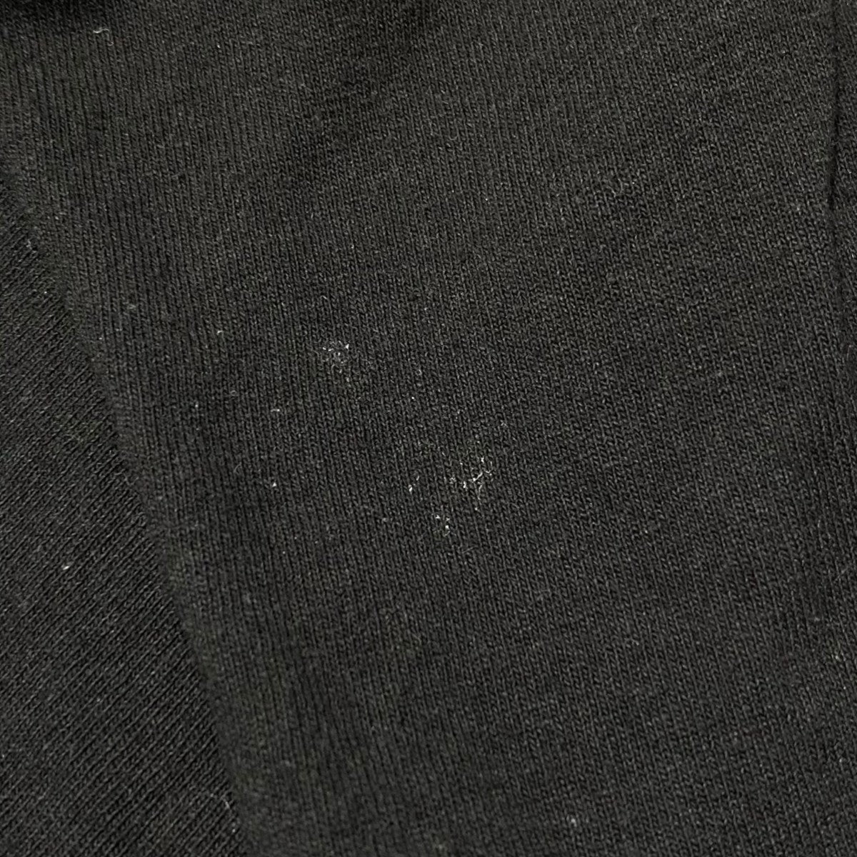 CACTUS SPORT LS
