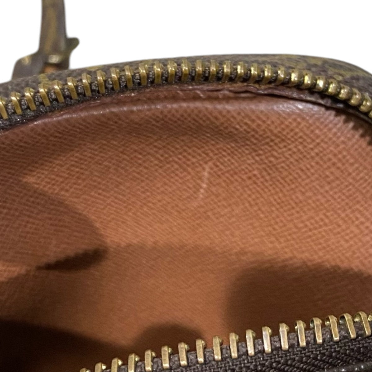 LOUIS VUITTON ミニアマゾンM45238 古着・中古-7枚目のアイテム画像