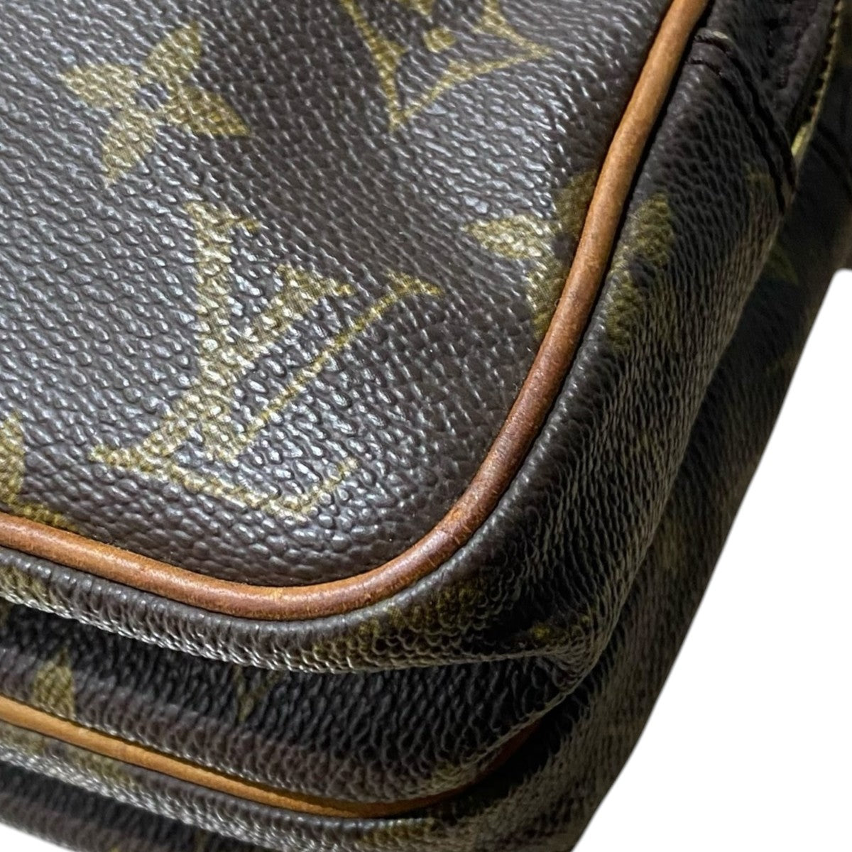 LOUIS VUITTON ミニアマゾンM45238 古着・中古-8枚目のアイテム画像
