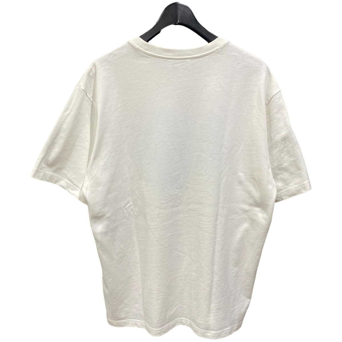 タイガーエンブロイダリーＴシャツFC55TS2194YH