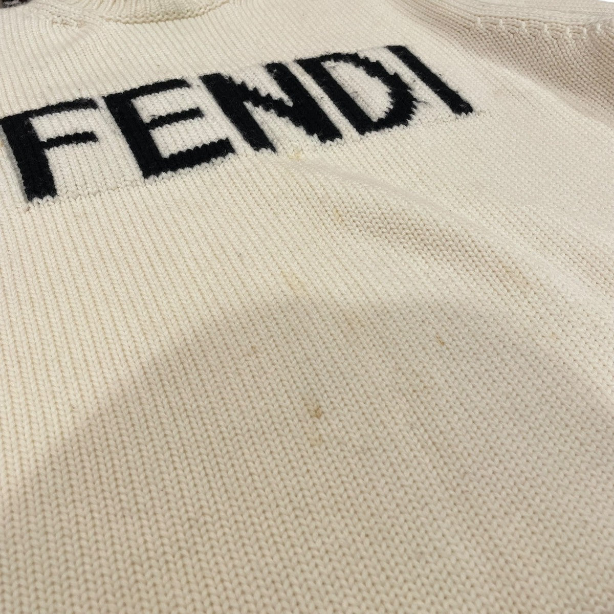 FENDI(フェンディ) Logo Intersia KnitニットFZZ387 A3M3 FZZ387 A3M3
