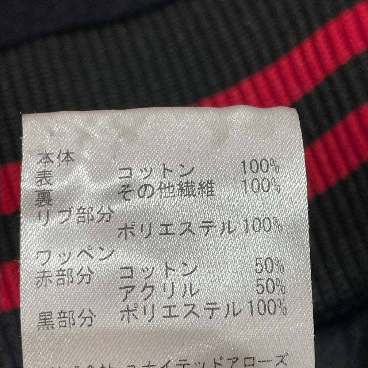 AWZツキノワグマFG / しまのなかまfromIRIOMOTE ( torachibita
