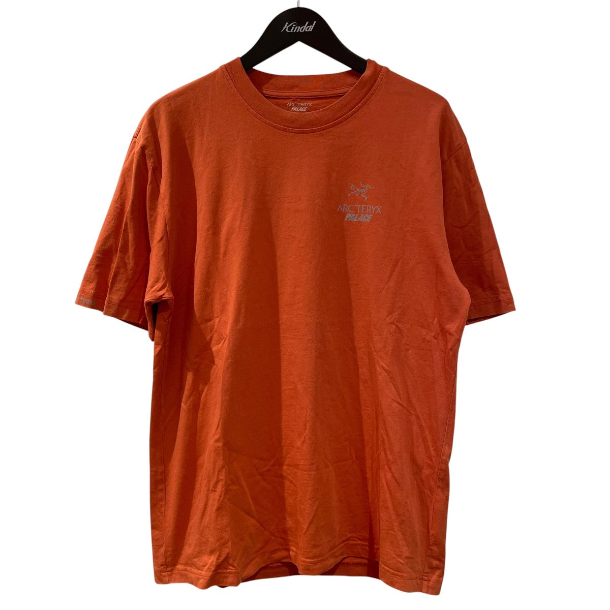ARC’TERYX×PALACE 半袖Tシャツ 古着・中古-1枚目のアイテム画像