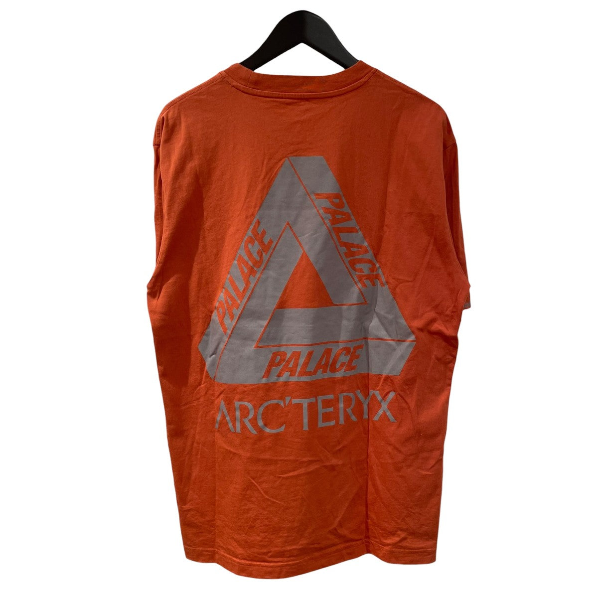 ARC’TERYX×PALACE 半袖Tシャツ 古着・中古-2枚目のアイテム画像