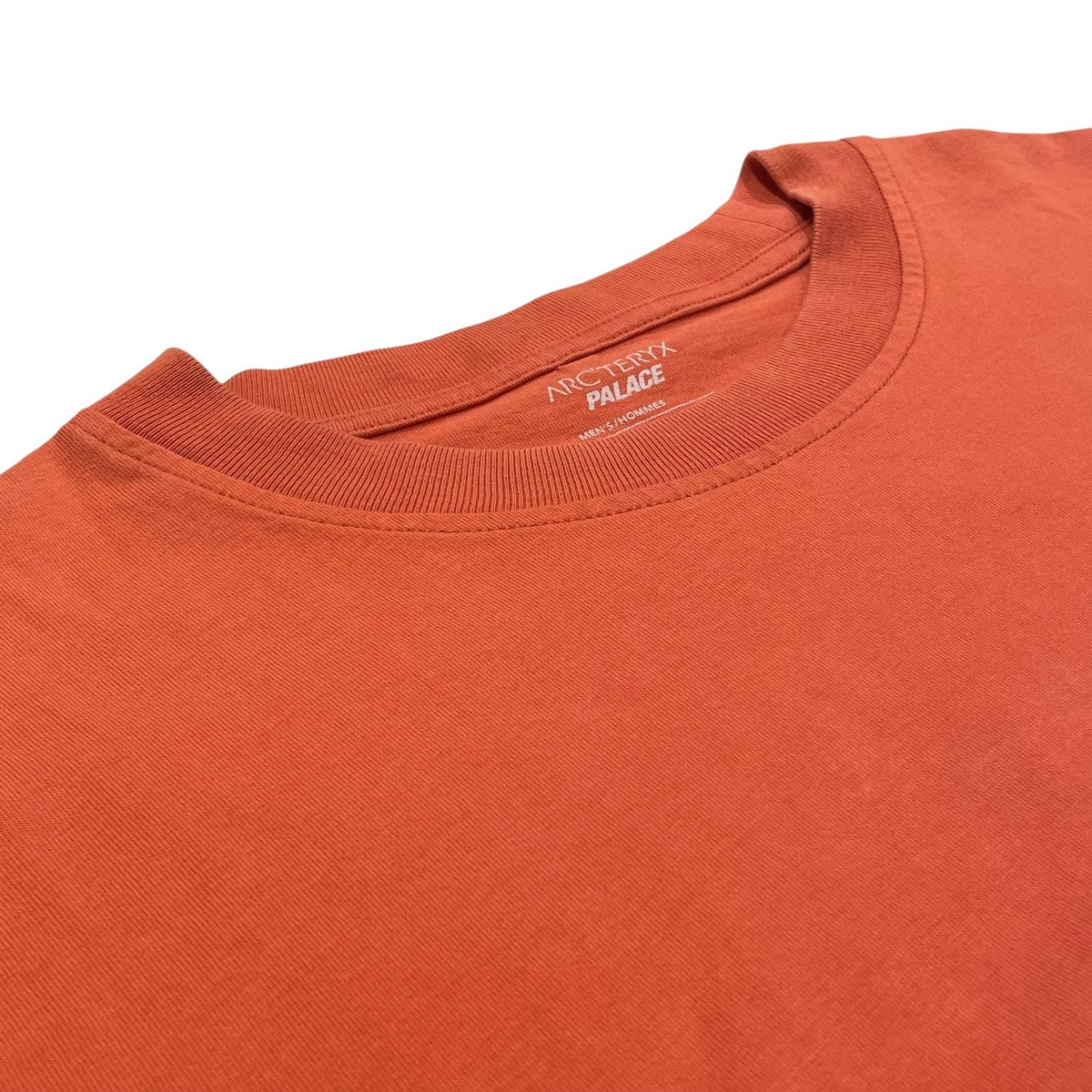 ARC’TERYX×PALACE 半袖Tシャツ 古着・中古-3枚目のアイテム画像