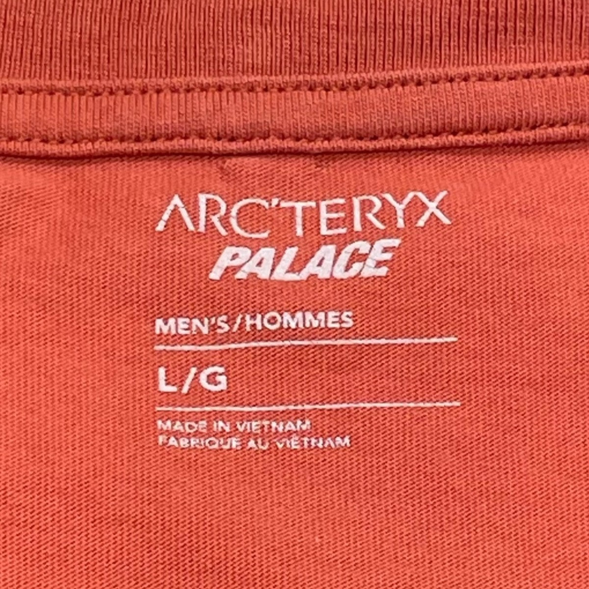 ARC’TERYX×PALACE 半袖Tシャツ 古着・中古-7枚目のアイテム画像
