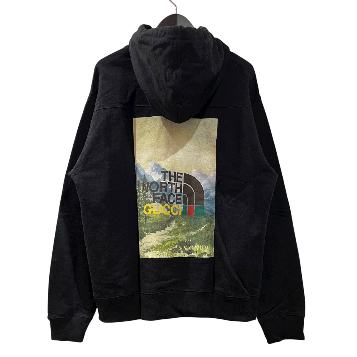 THE NORTH FACE(ザノースフェイス) STEEPTECH HYDRO HELI VEST