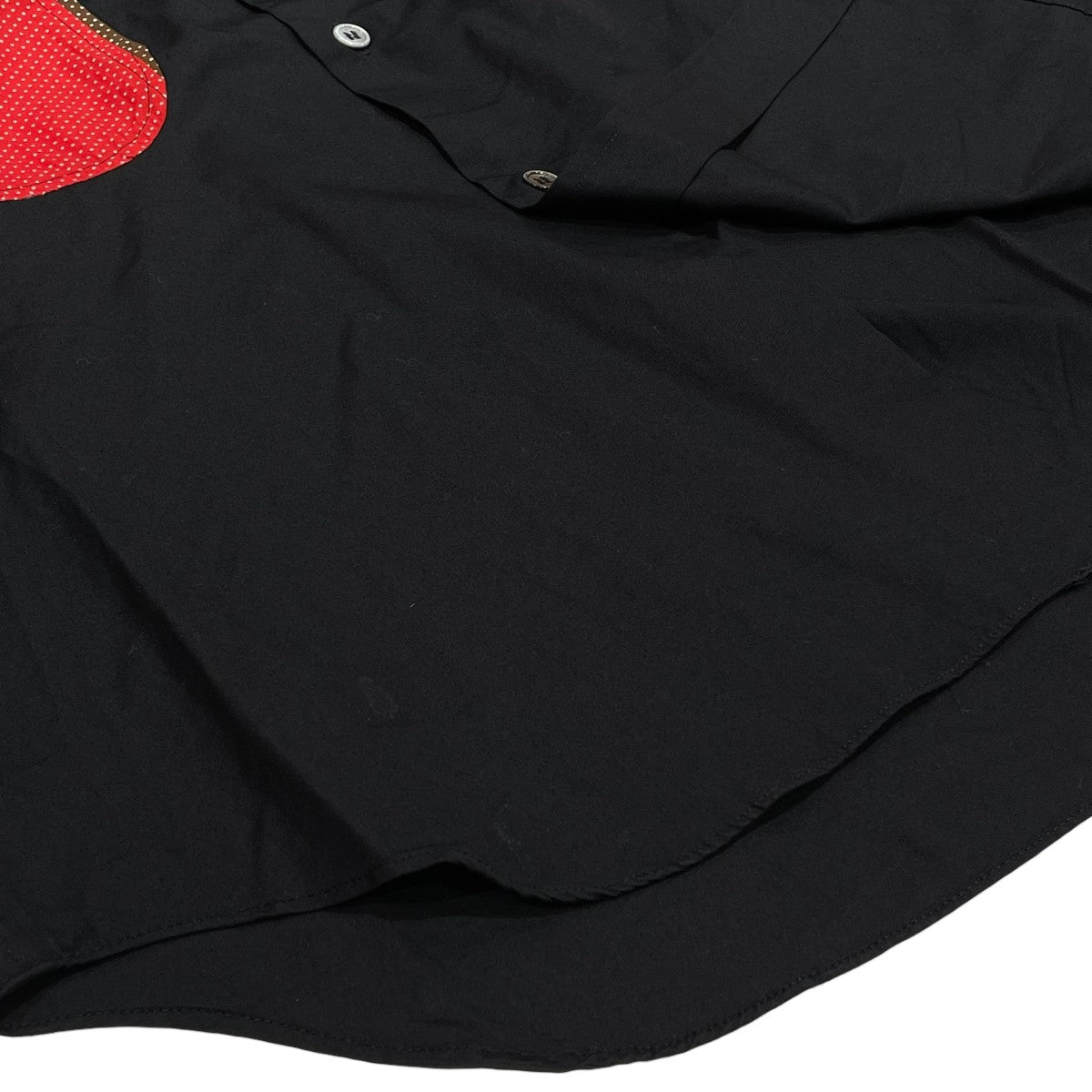 COMME des GARCONS HOMME PLUS EVER GREEN AD2008長袖シャツPC-B209 古着・中古-5枚目のアイテム画像