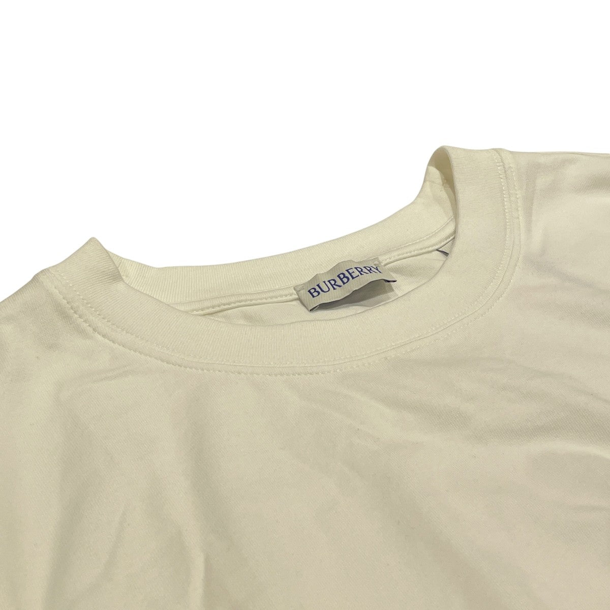 半袖TシャツSU25-WW-FOR-2.6.050