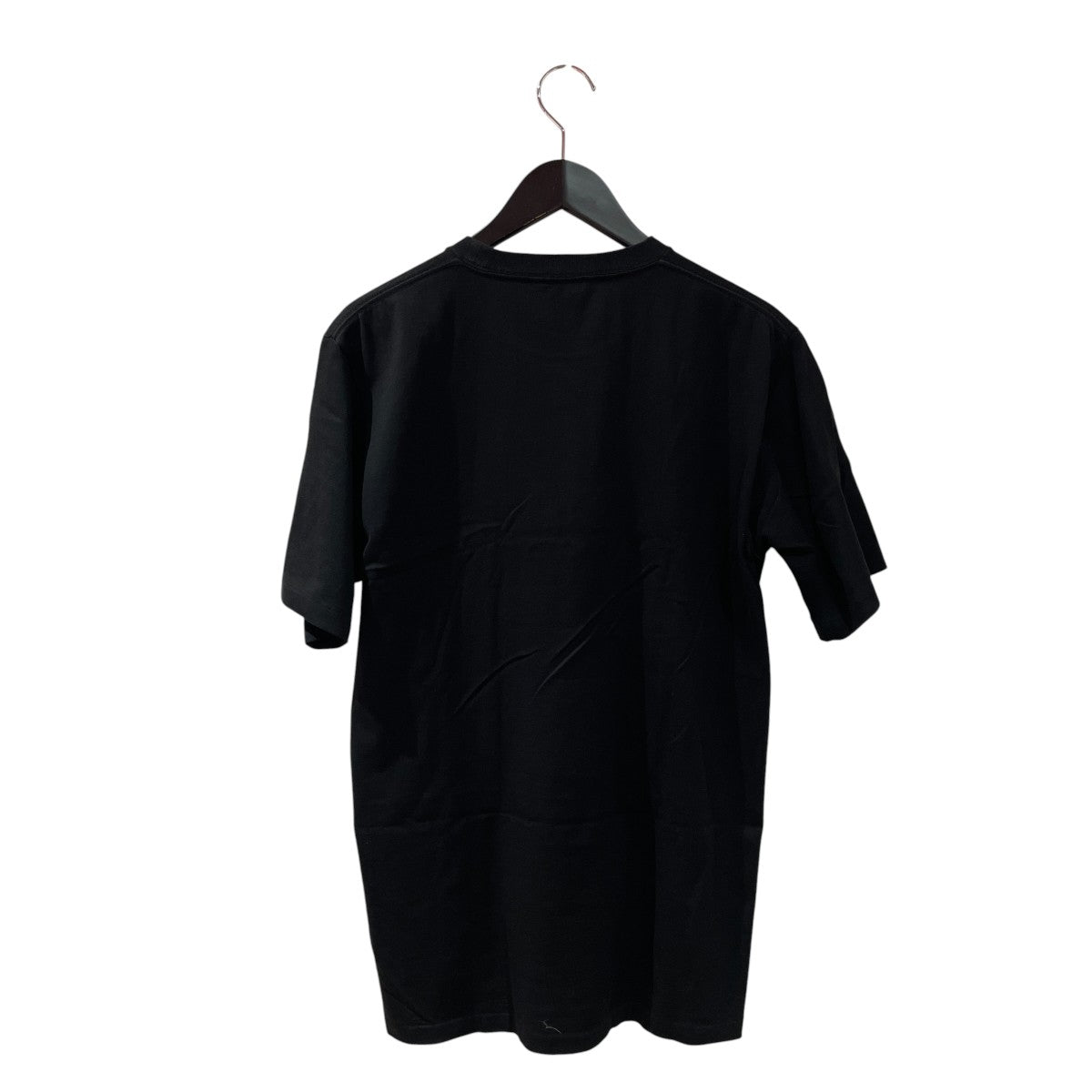 LUSTER PLAITING TEE半袖TシャツA20ST02GT