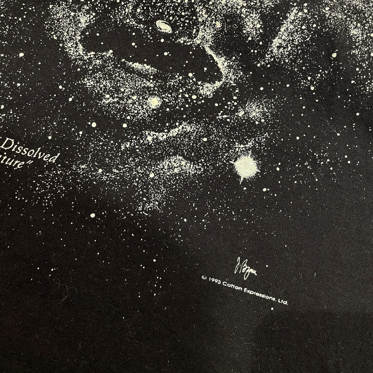 1993 アインシュタインクルーネックTシャツ