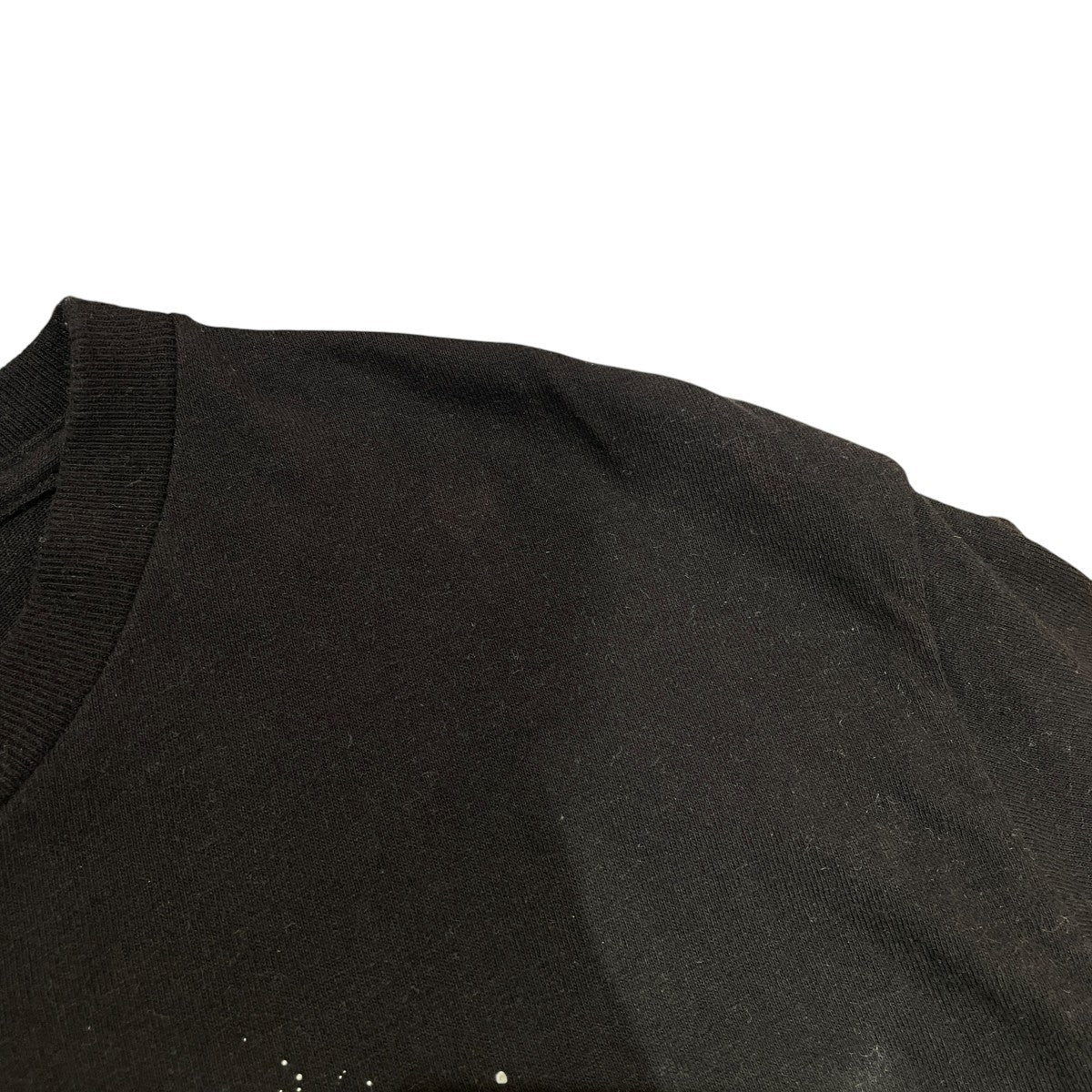 1993 アインシュタインクルーネックTシャツ
