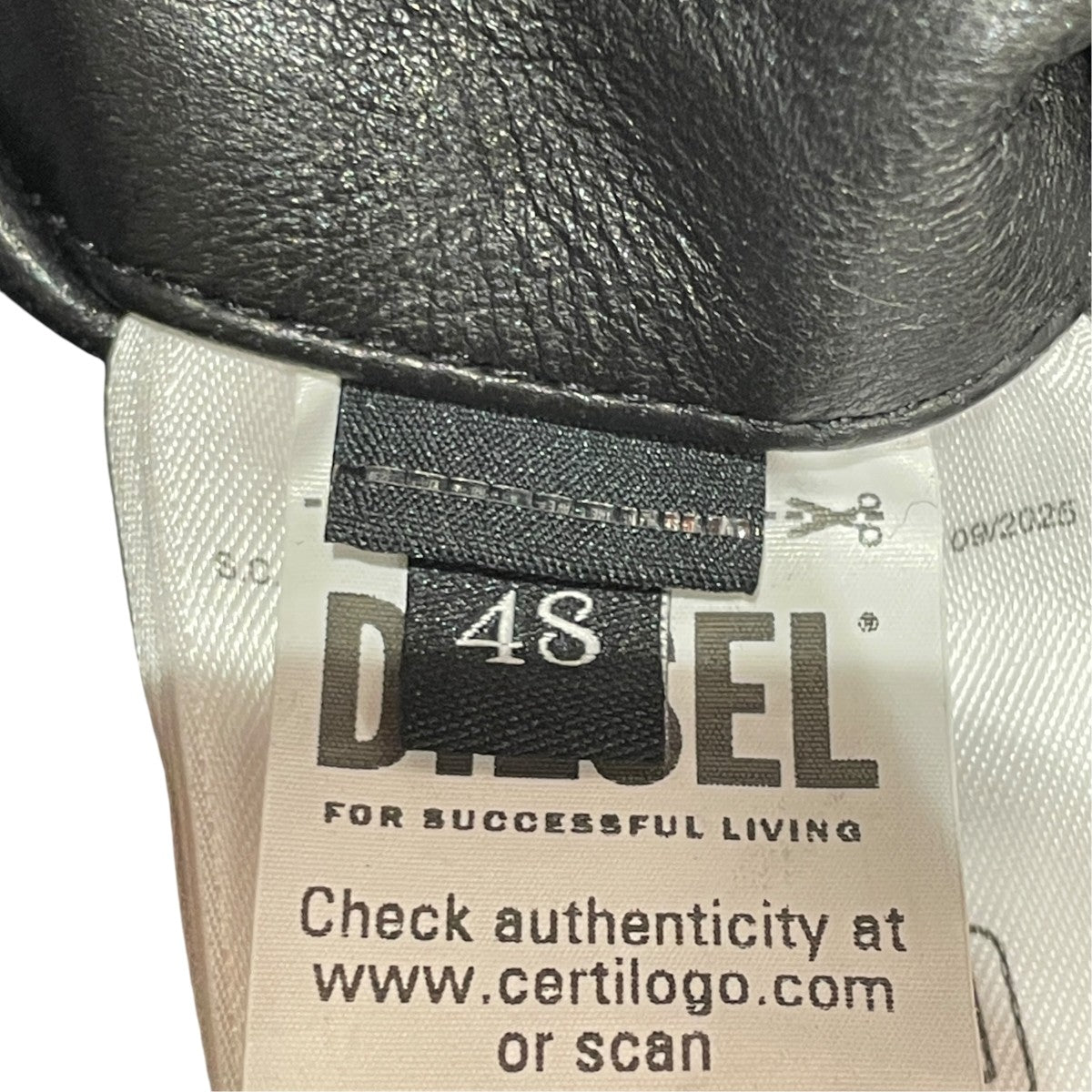 DIESEL L-TAD-WRDレザージャケットA18588 古着・中古-6枚目のアイテム画像