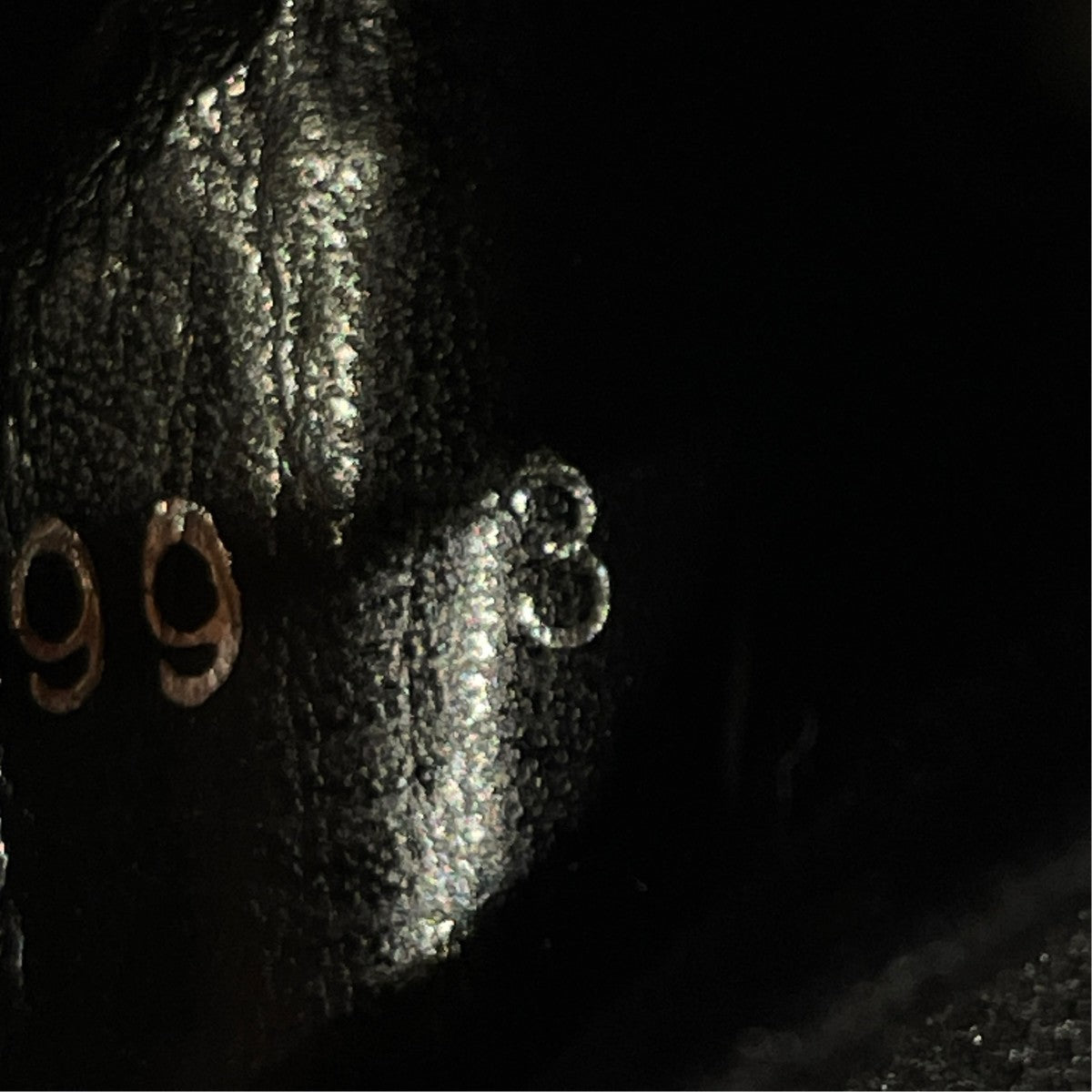 LEATHER COTTON CANVAS COMBINATION BOOTSサイドゴアブーツye e01 899