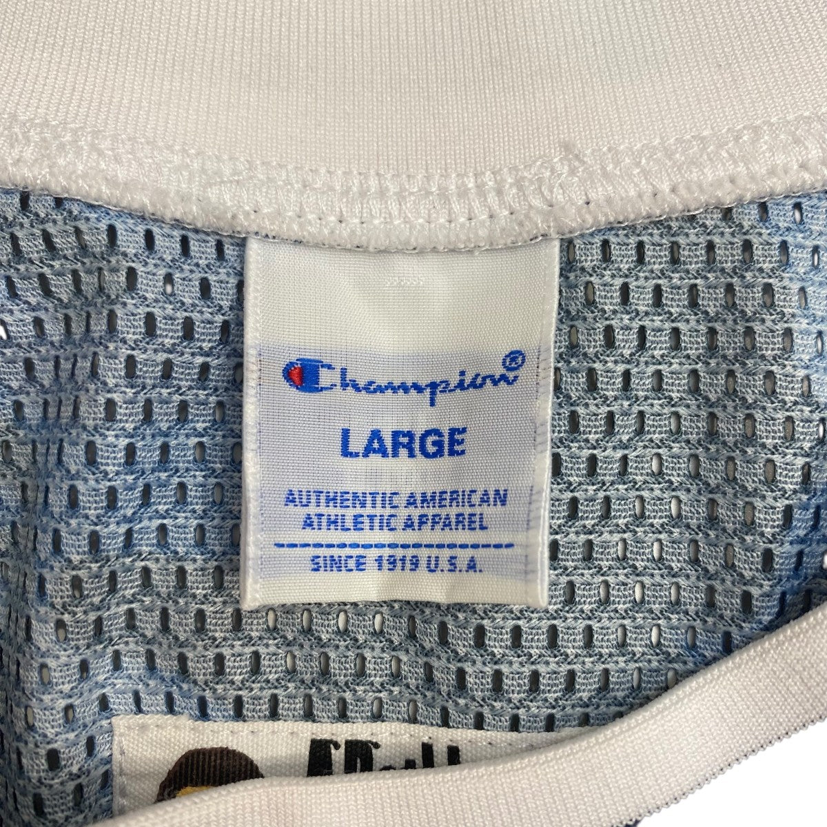 BAPEコラボ BASKET TANK