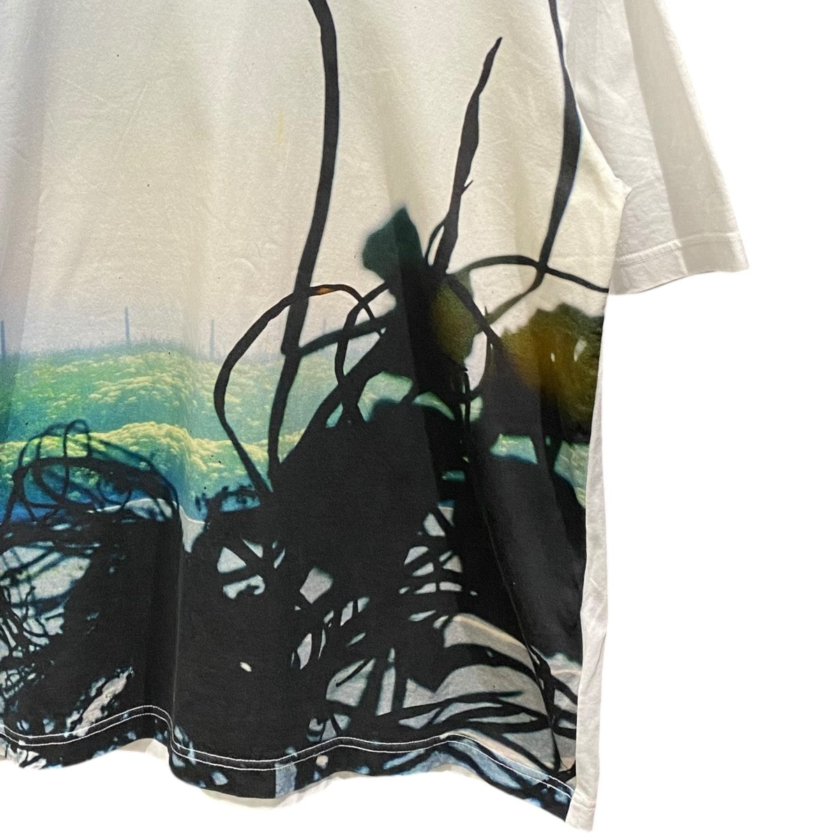 COMME des GARCONS HOMME×Stephen Gill Stephen Gill コラボ グラフィックフォトプリントＴシャツHM-T020 古着・中古-4枚目のアイテム画像