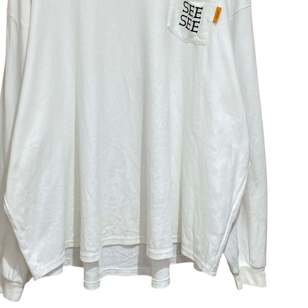 SUPER BIG ROUND LONG-SLEEVE TEEロングカットソーL3-BSM35