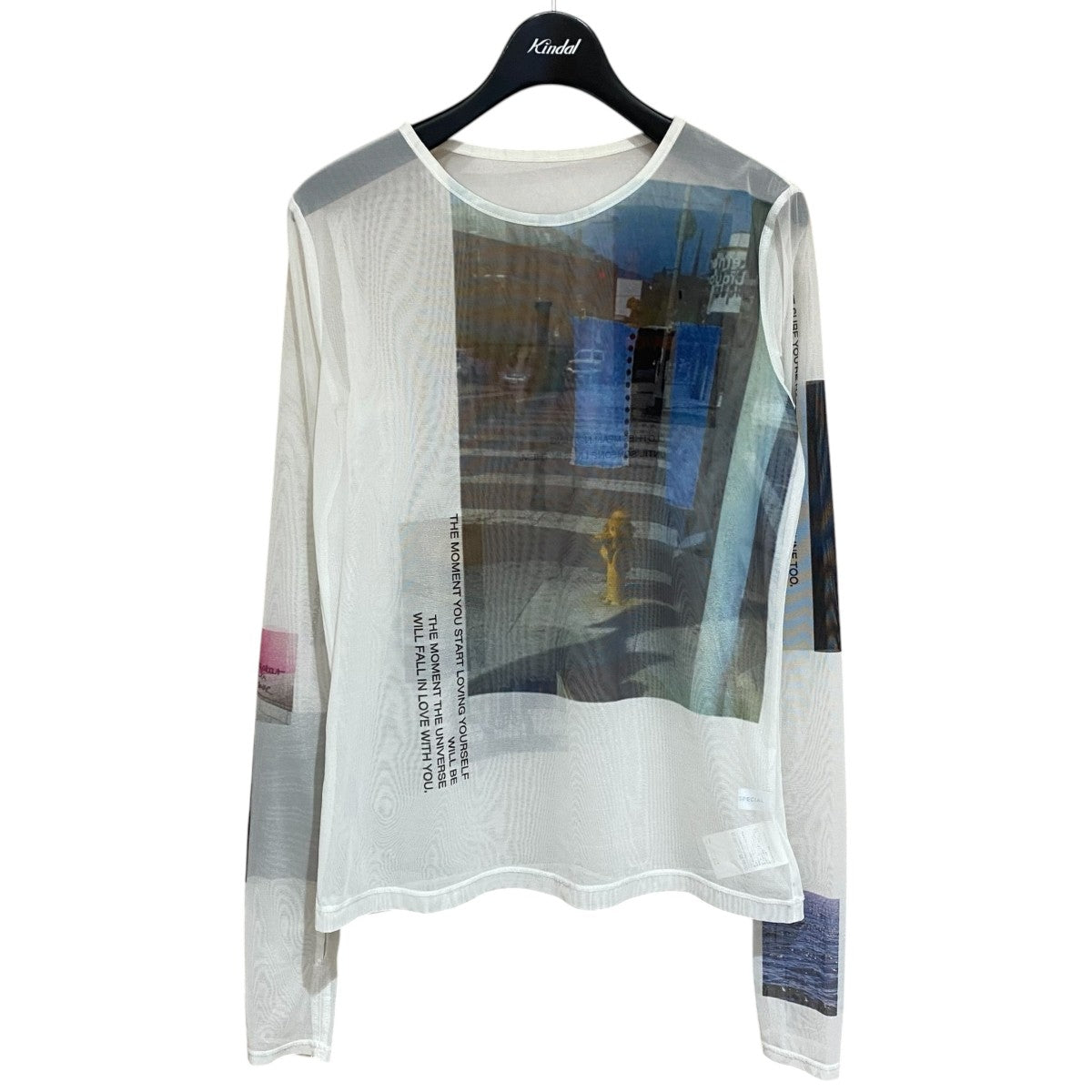 Photo Print Mesh Tops21241415312