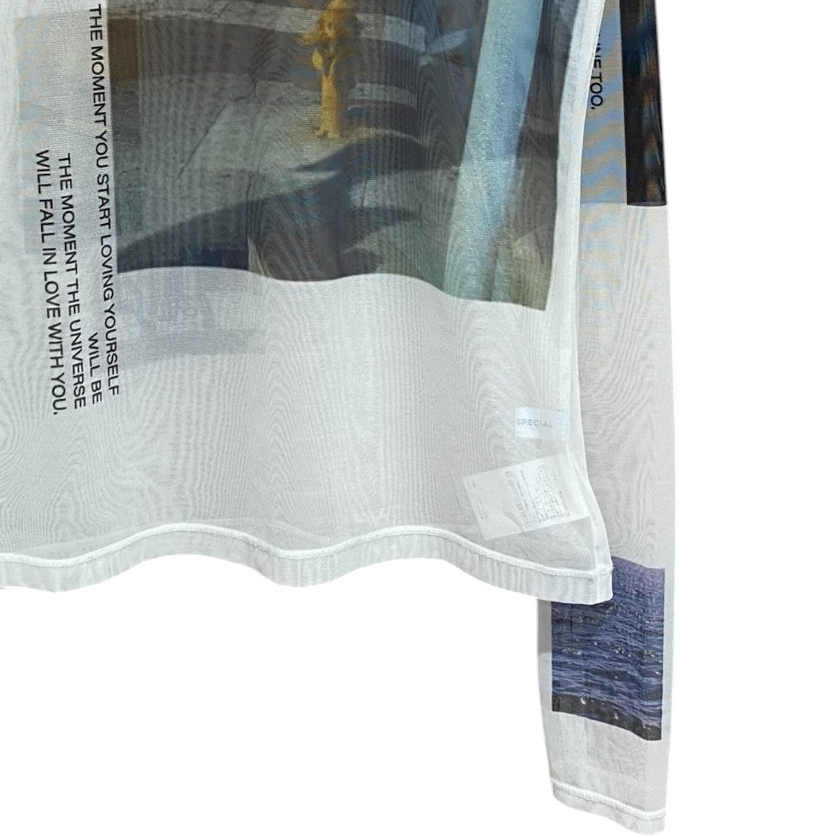 Photo Print Mesh Tops21241415312