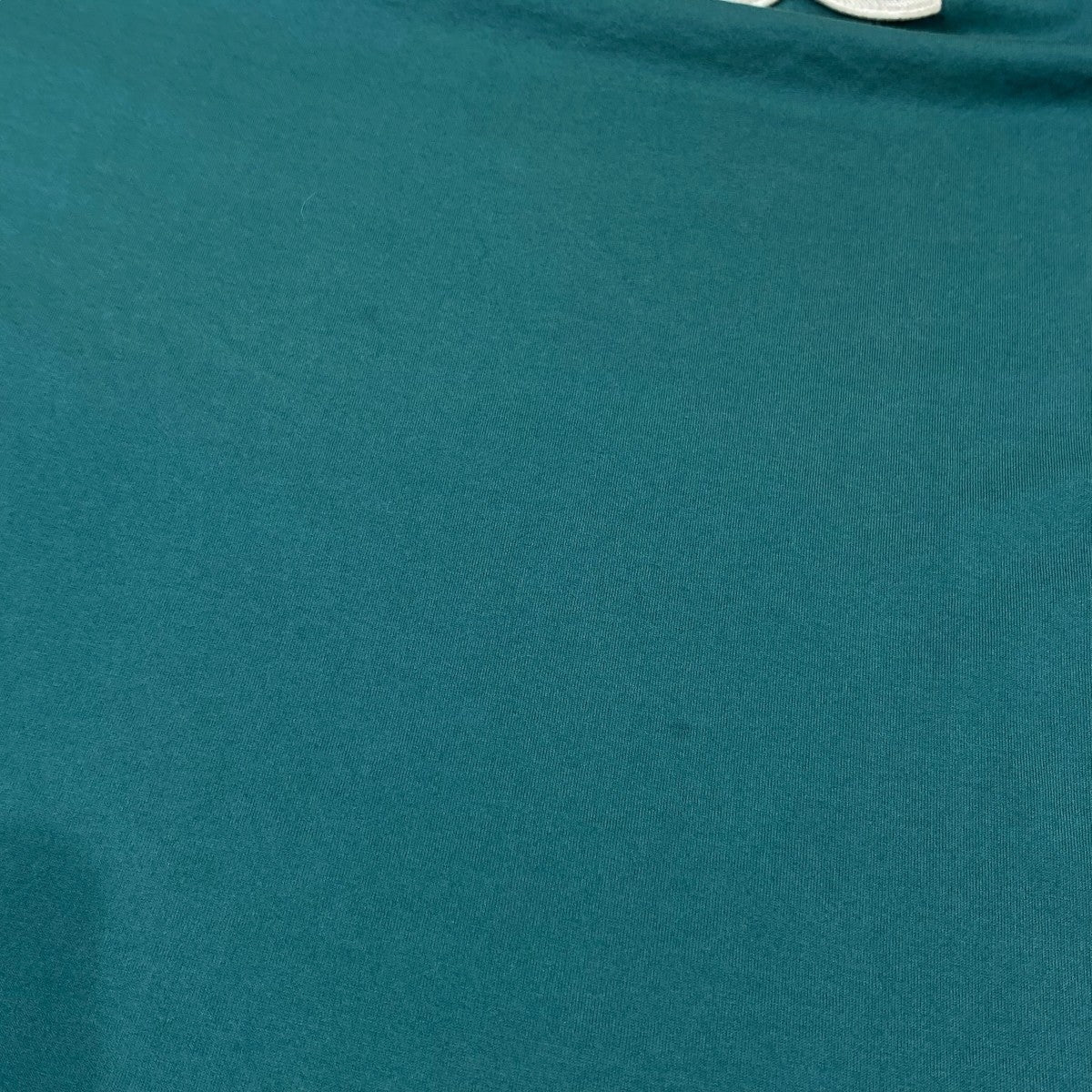 ロゴTシャツF20918C78100