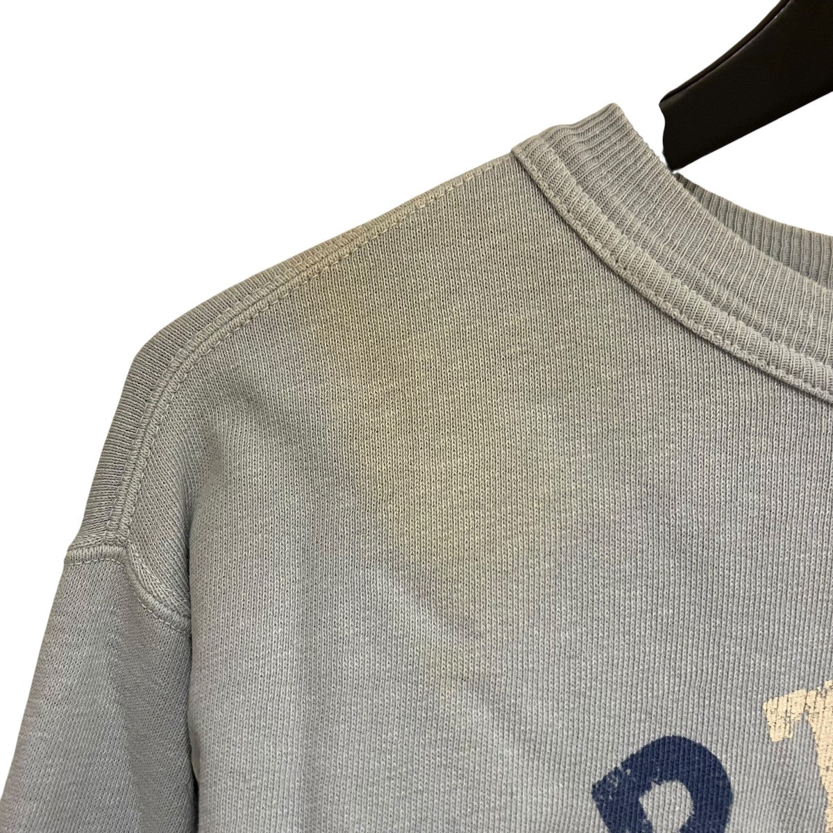 HERITAGE ブルマリンカレッジプリントの裏毛スウェットシャツスウェット8097942