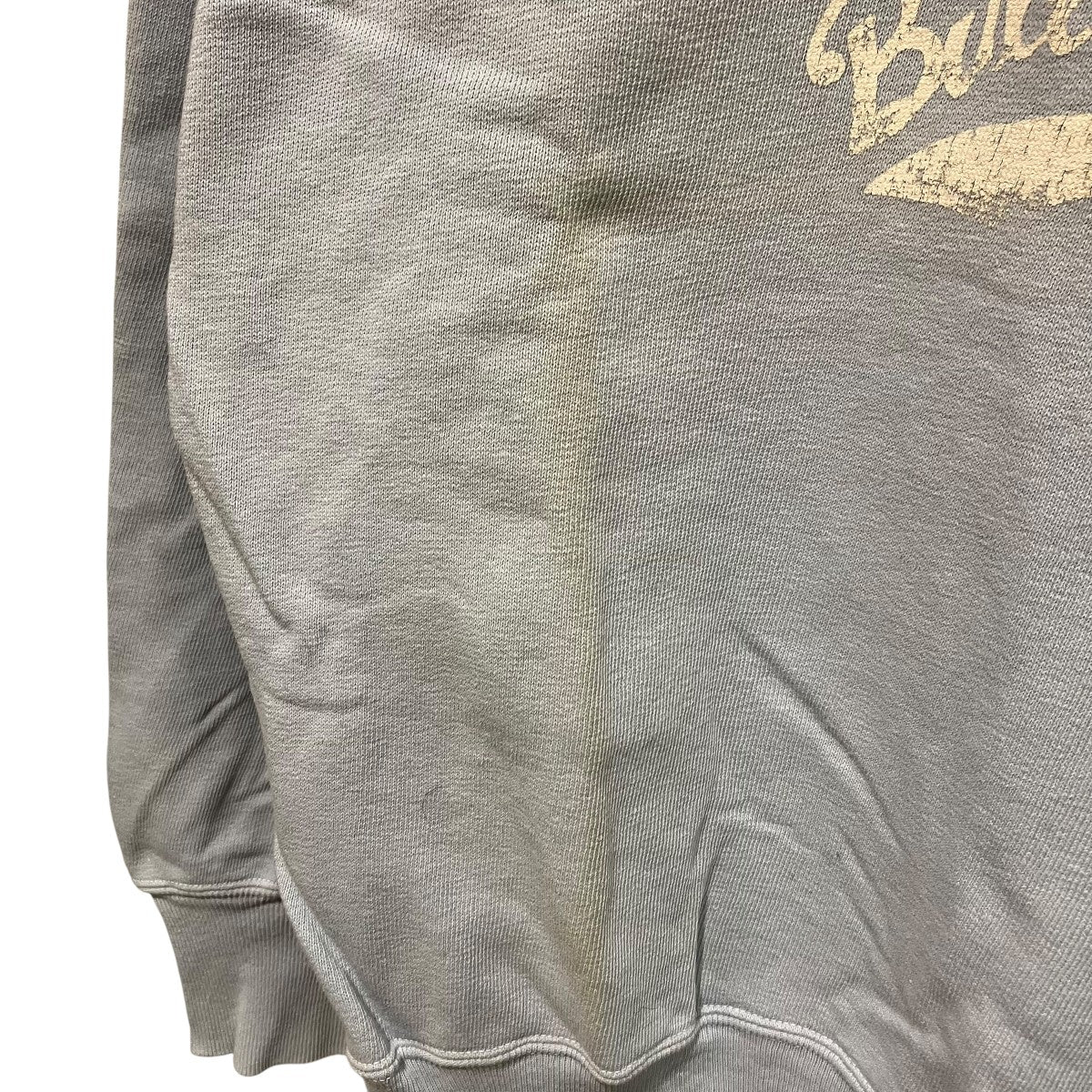 HERITAGE ブルマリンカレッジプリントの裏毛スウェットシャツスウェット8097942