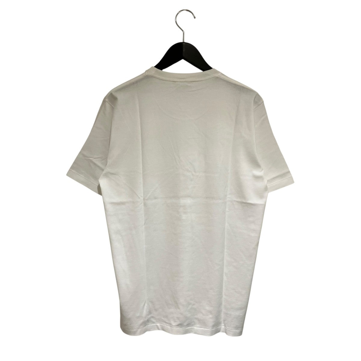 LUSTER PLAITING TEE半袖TシャツA00P02GT