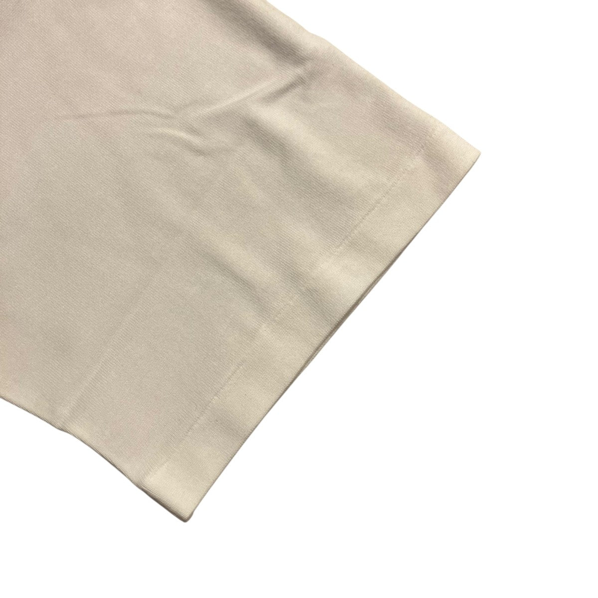 LUSTER PLAITING TEE半袖TシャツA00P02GT