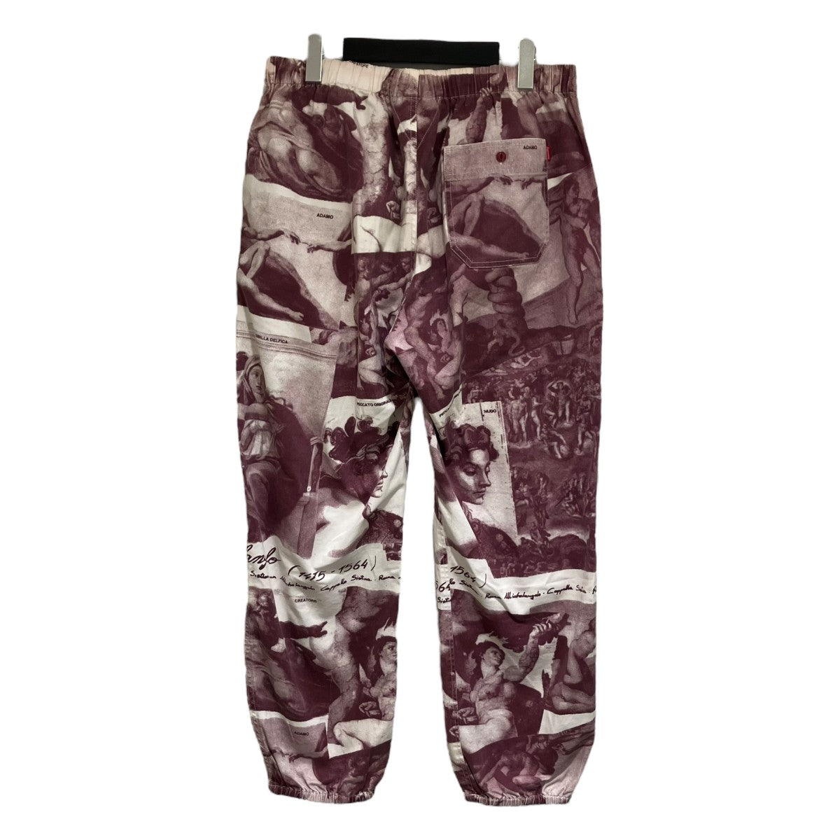 Supreme(シュプリーム) 25SSNylon Trail Pantナイロントレイル