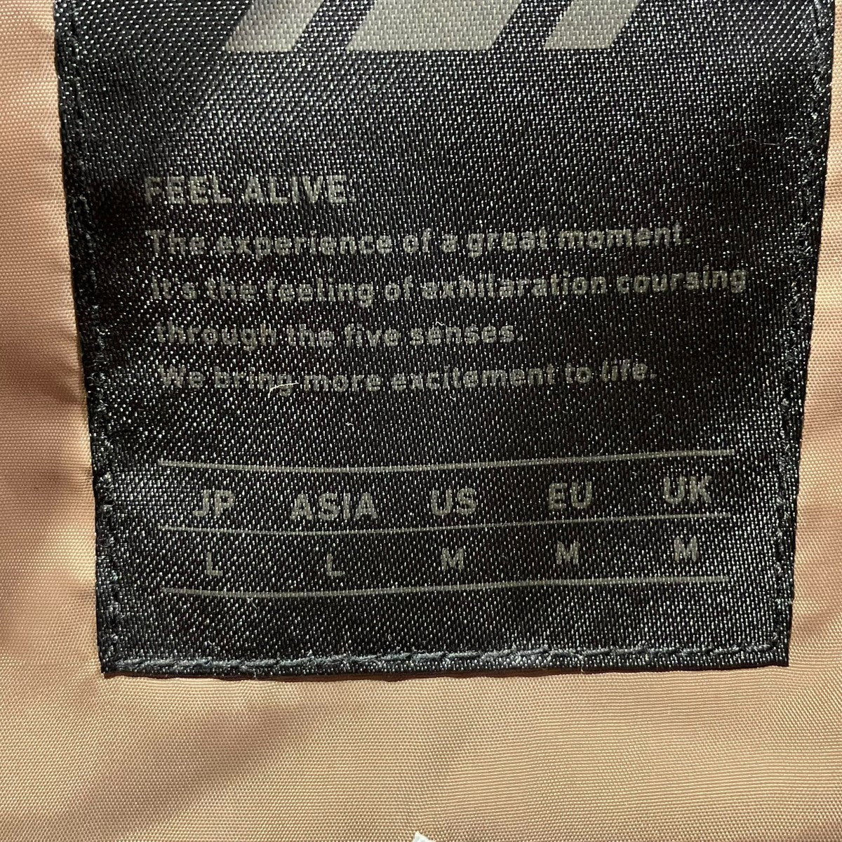 GORE-TEX INFINIUM FIELD DOWN VESTダウンベストBJ-18020W