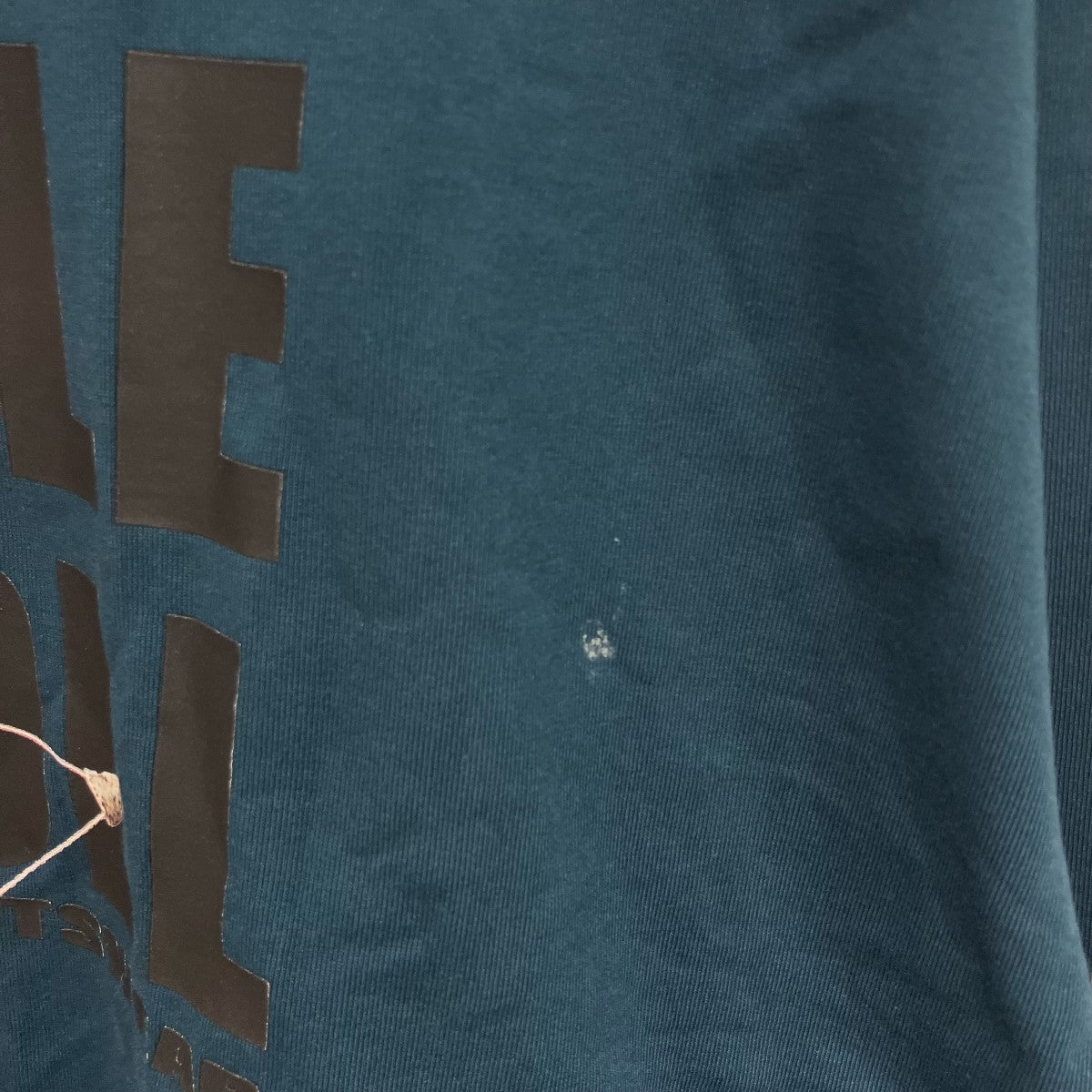 Columbia バーンノベル グラフィック長袖カットソー224 PM0334 古着・中古-5枚目のアイテム画像