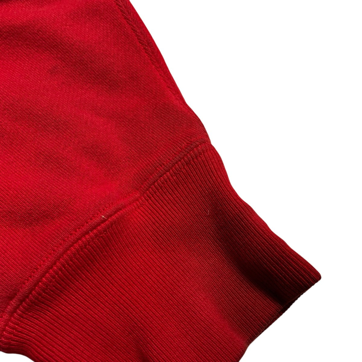SD W Face Logo Zip Hood SweatジップパーカーRC-25264SC