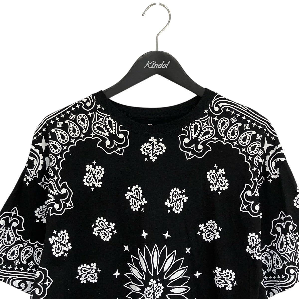 Hanes×Supreme Bandana Tagless TeeTシャツ 古着・中古-3枚目のアイテム画像