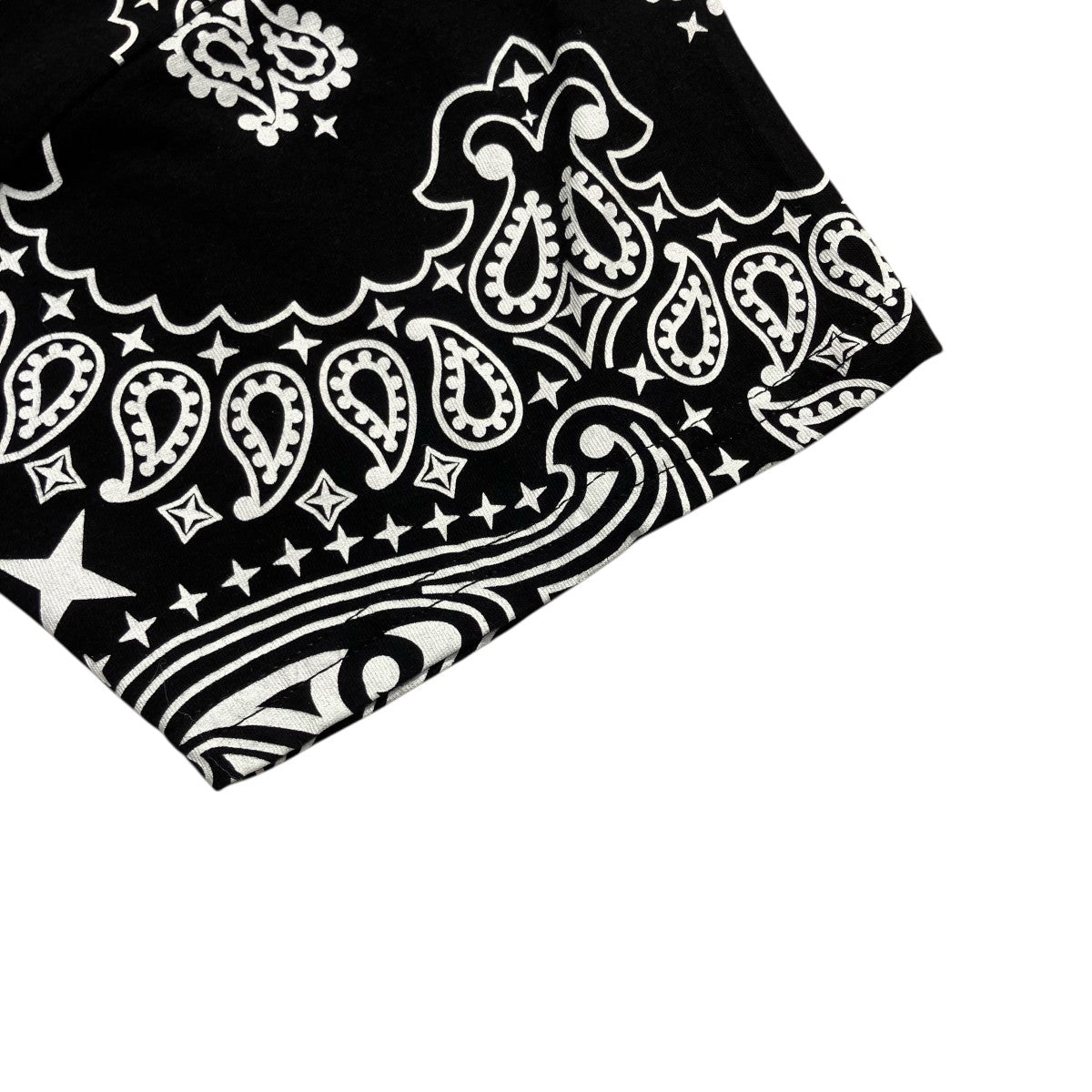 Hanes×Supreme Bandana Tagless TeeTシャツ 古着・中古-4枚目のアイテム画像