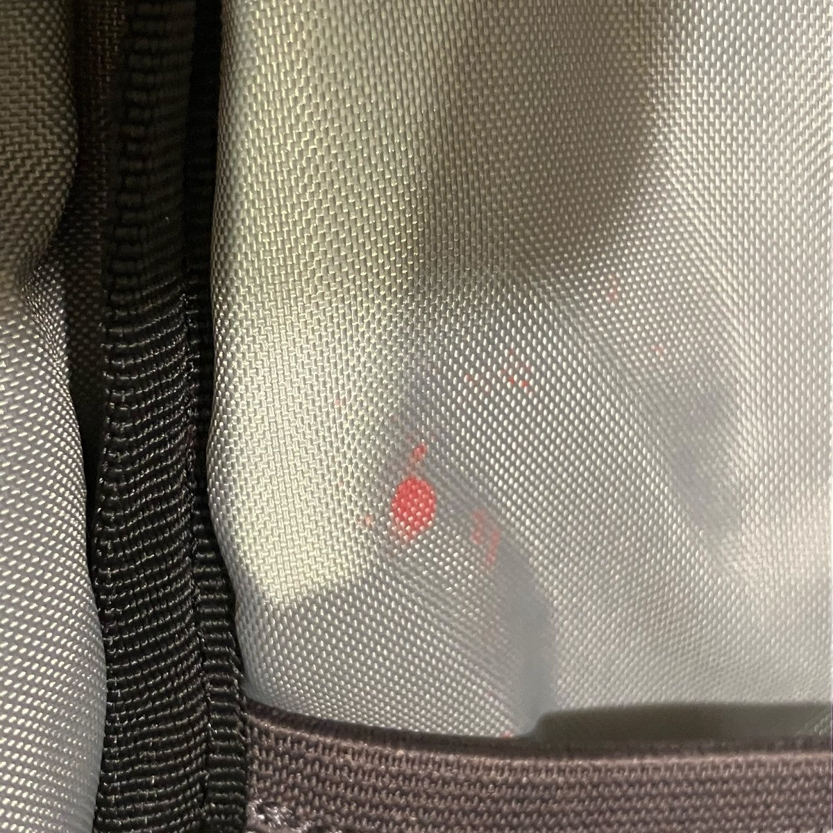 BEAMS Day Pack 2 Compartmentsリュック 古着・中古-8枚目のアイテム画像