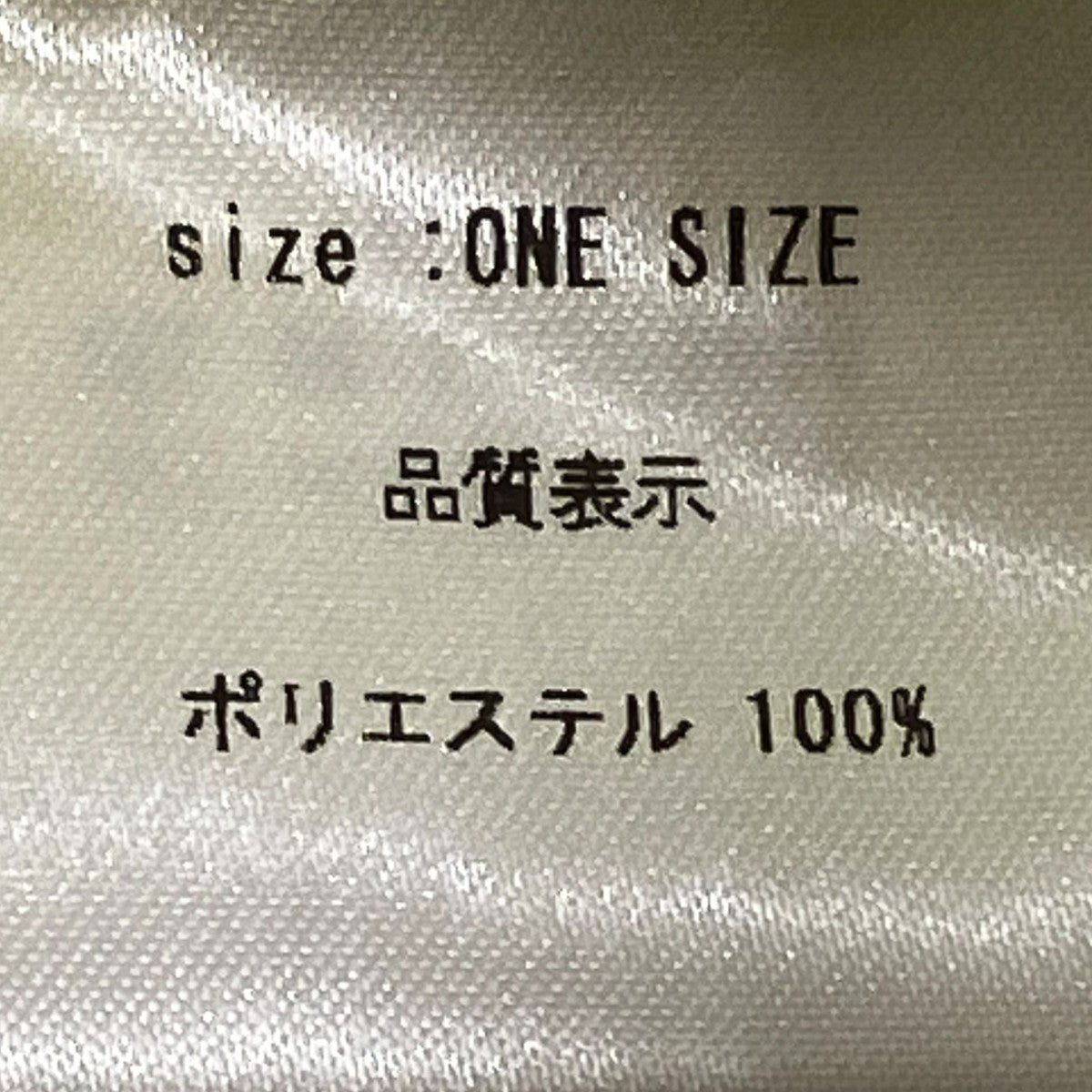 wonderland OasisトートバッグWL24AW-BG01 古着・中古-6枚目のアイテム画像