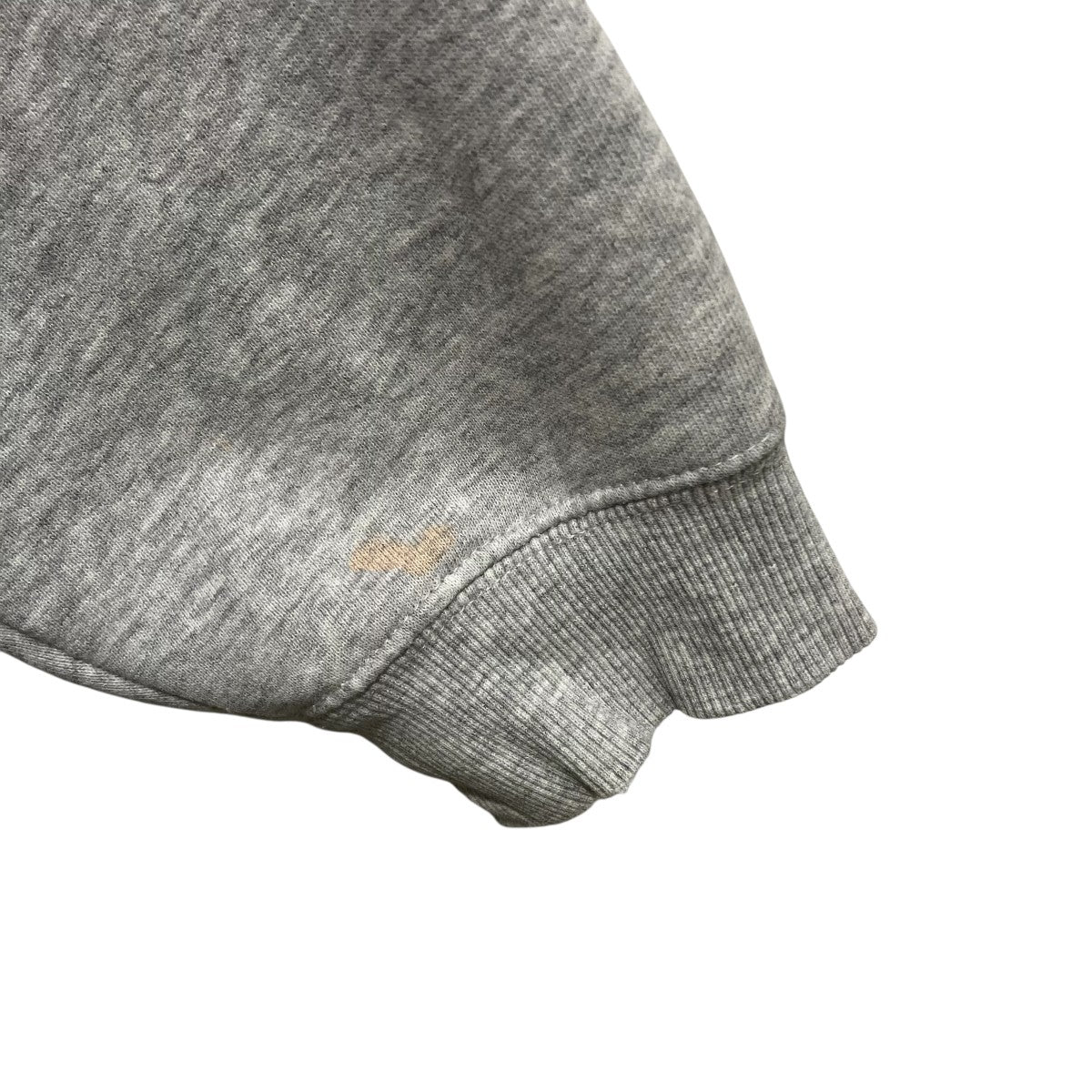 BASIC STUSSY HOOD長袖パーカーZ4000SAS19