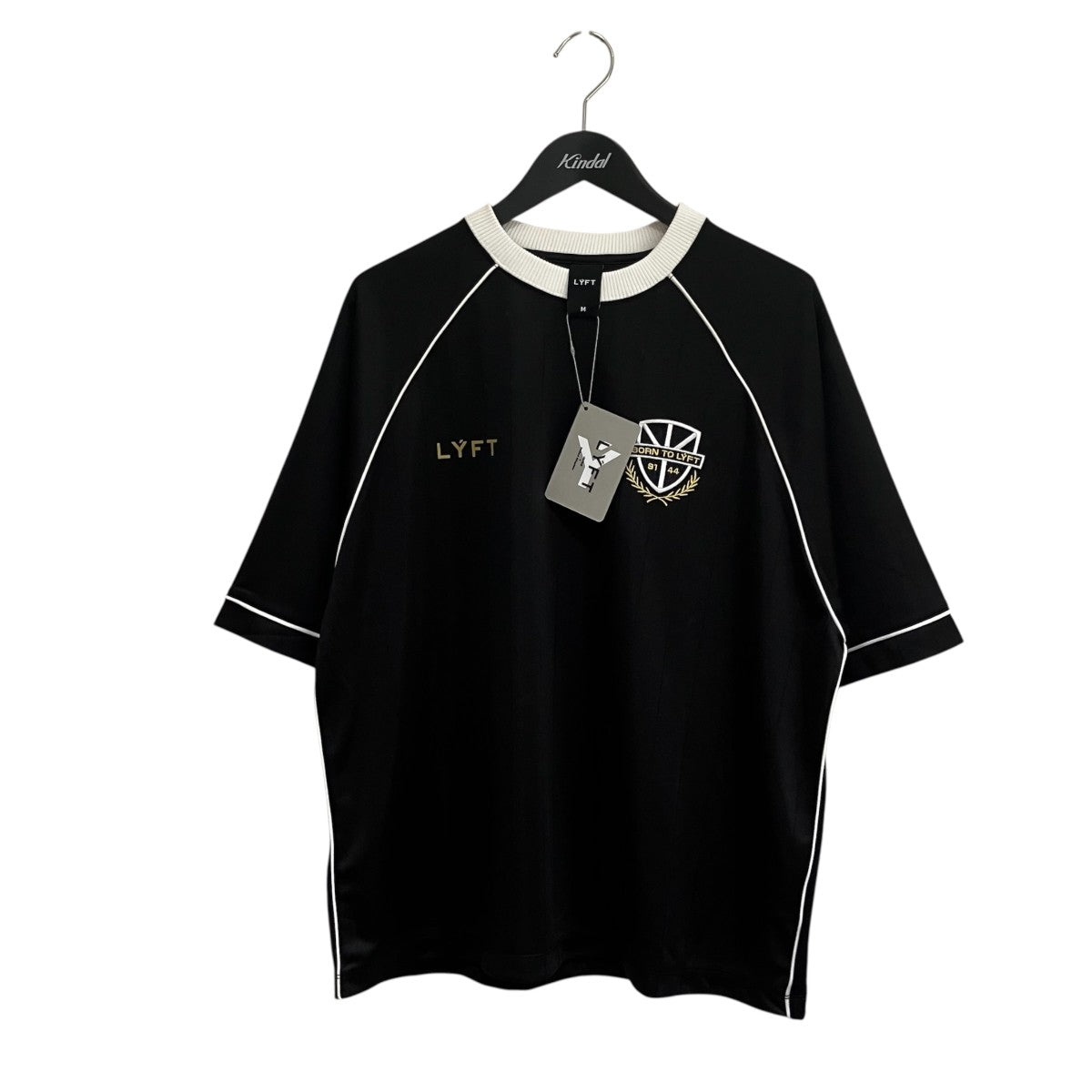 Pinstripe Emblem Big T-Shirt半袖カットソーM-TS-1604