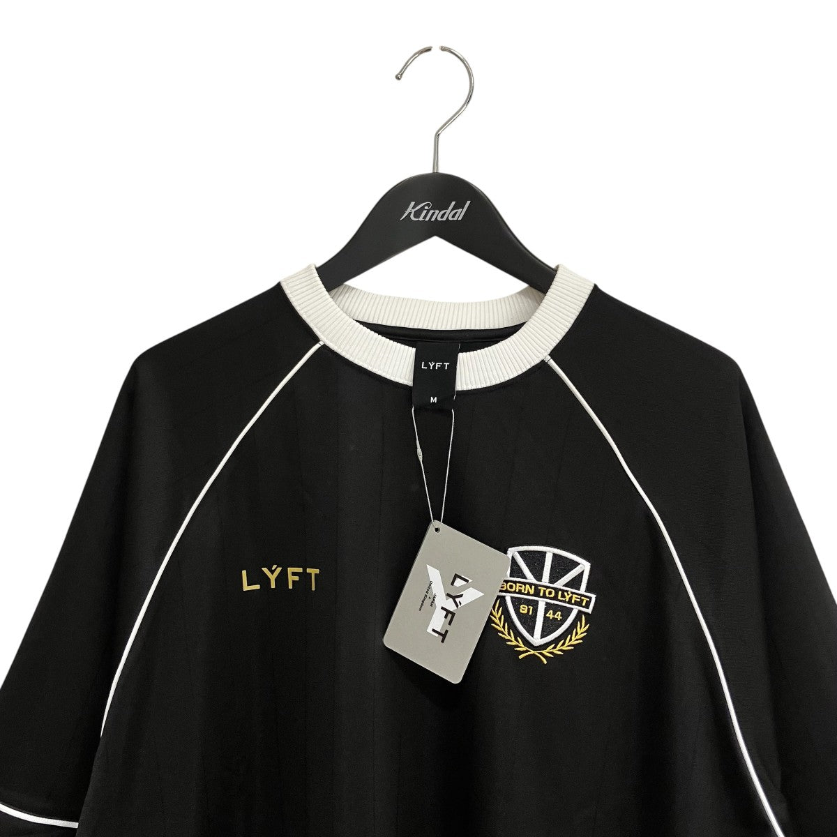 Pinstripe Emblem Big T-Shirt半袖カットソーM-TS-1604