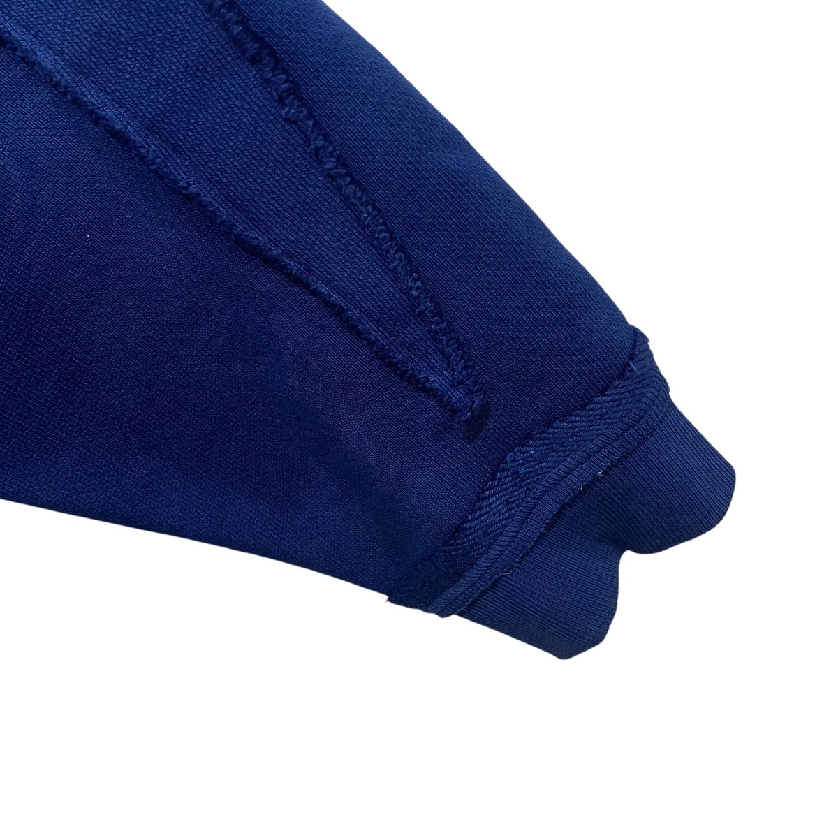 25SSBlue RaaaLien Hoodieジップパーカー