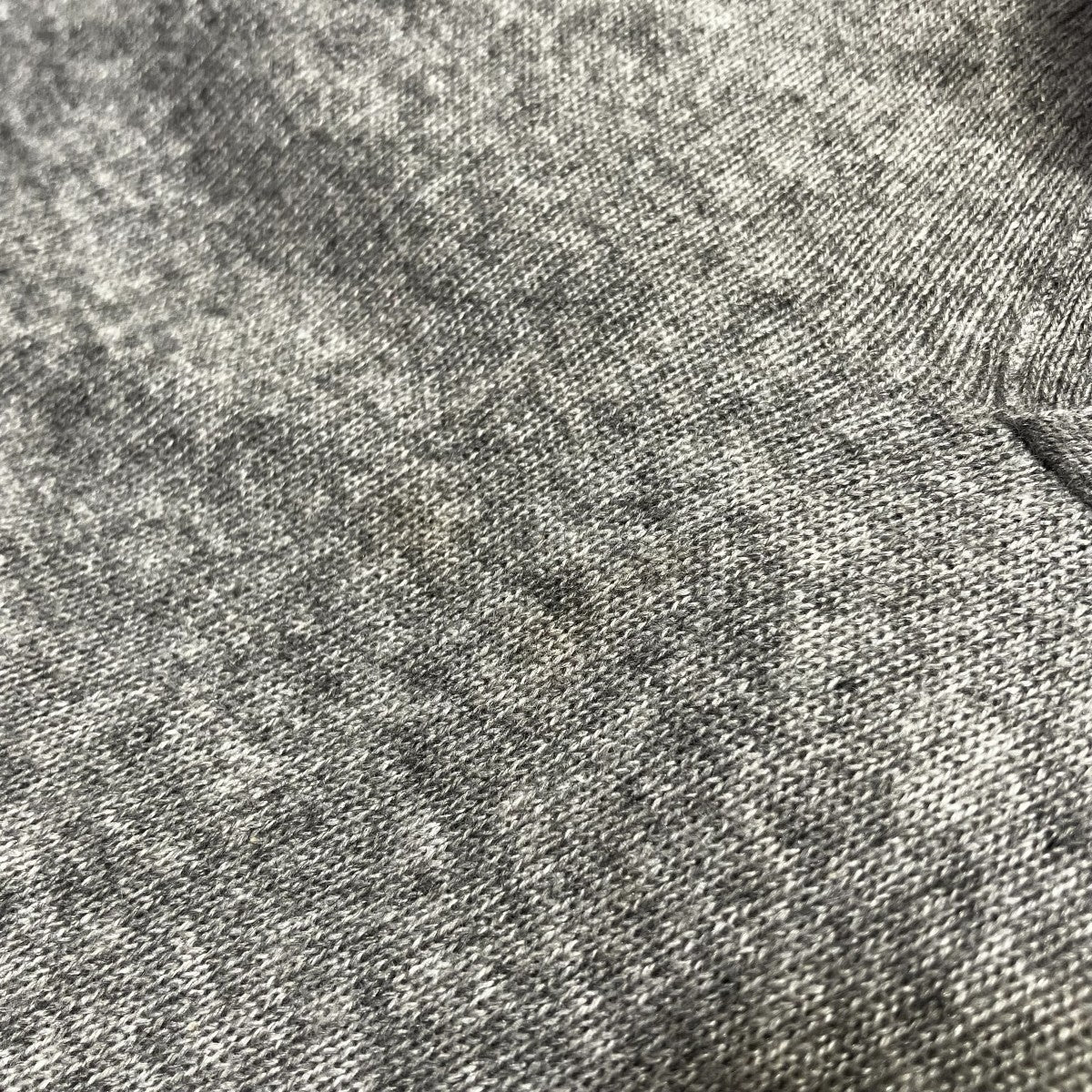 25SSSUPER FINE CASHMERE SILK KNIT SKIPPER POLOシャツA25SP02SC