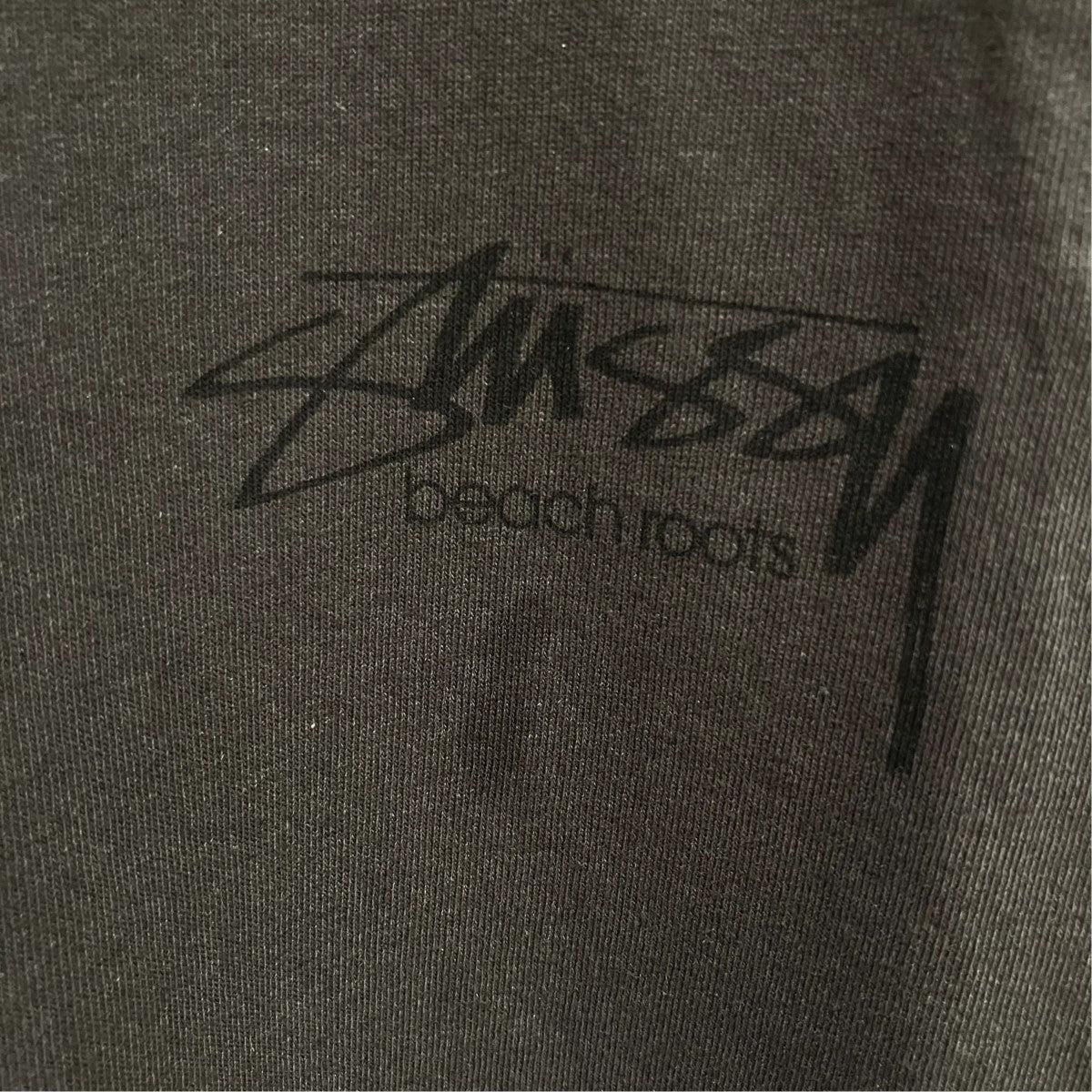 BEACH ROOTS半袖Tシャツ