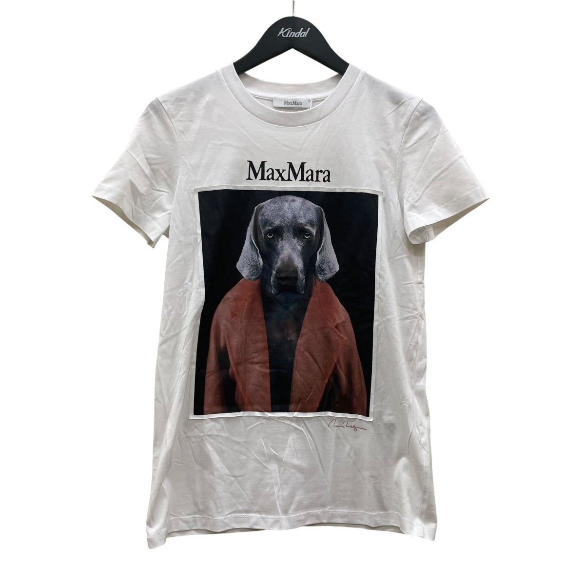 MaxMara CIPRIA半袖Tシャツ11-94-60741 古着・中古-1枚目のアイテム画像