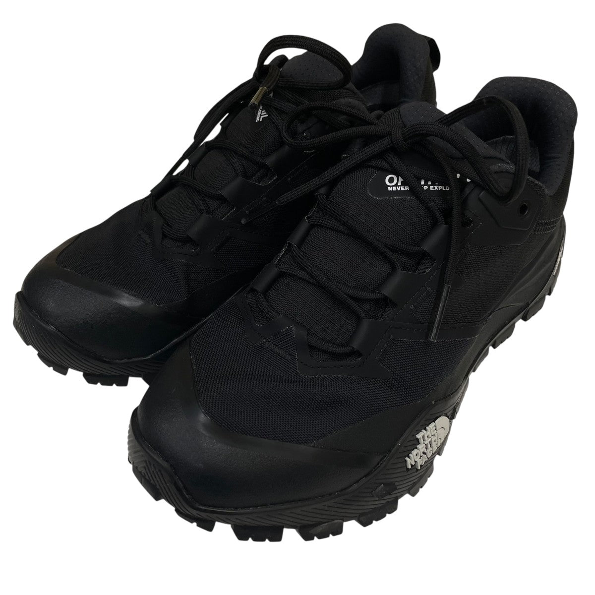 THE NORTH FACE(ザノースフェイス) ローカットスニーカーNF0A8AEG