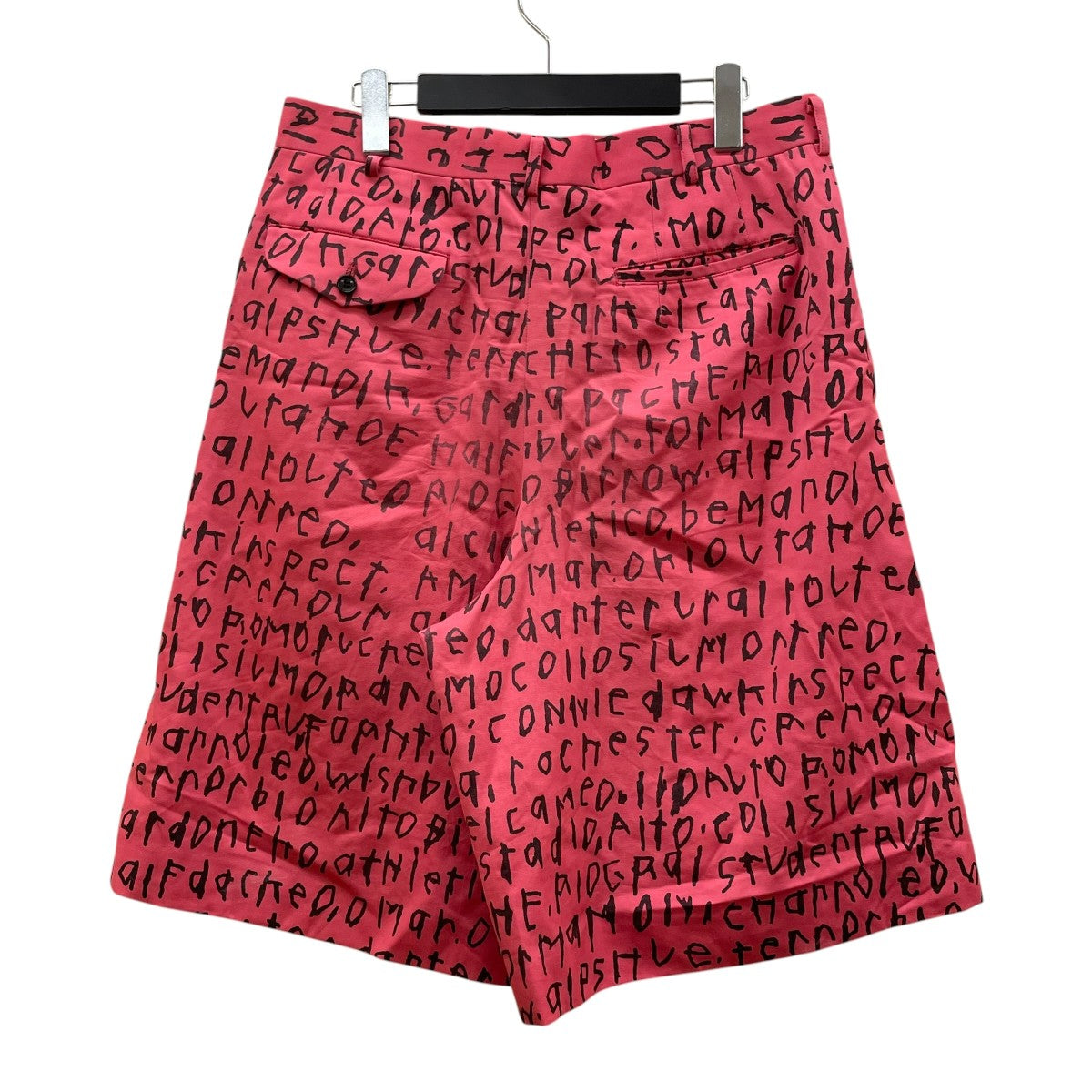 COMME des GARCONS HOMME PLUS 23AWEdward GossハーフパンツPL P009 古着・中古-2枚目のアイテム画像
