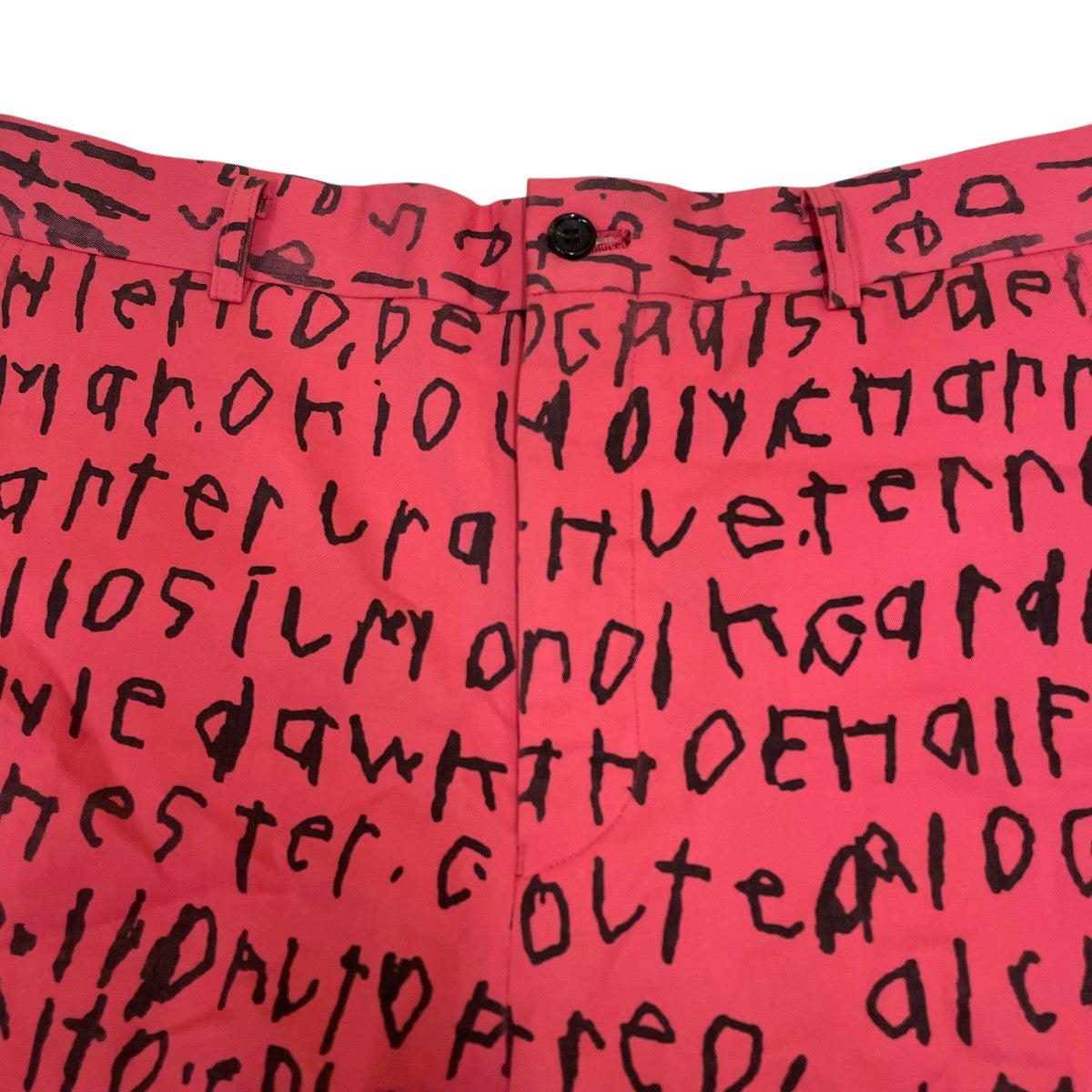 COMME des GARCONS HOMME PLUS 23AWEdward GossハーフパンツPL P009 古着・中古-3枚目のアイテム画像