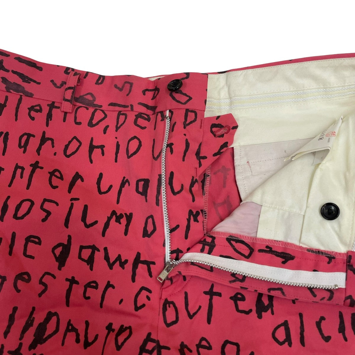 COMME des GARCONS HOMME PLUS 23AWEdward GossハーフパンツPL P009 古着・中古-4枚目のアイテム画像