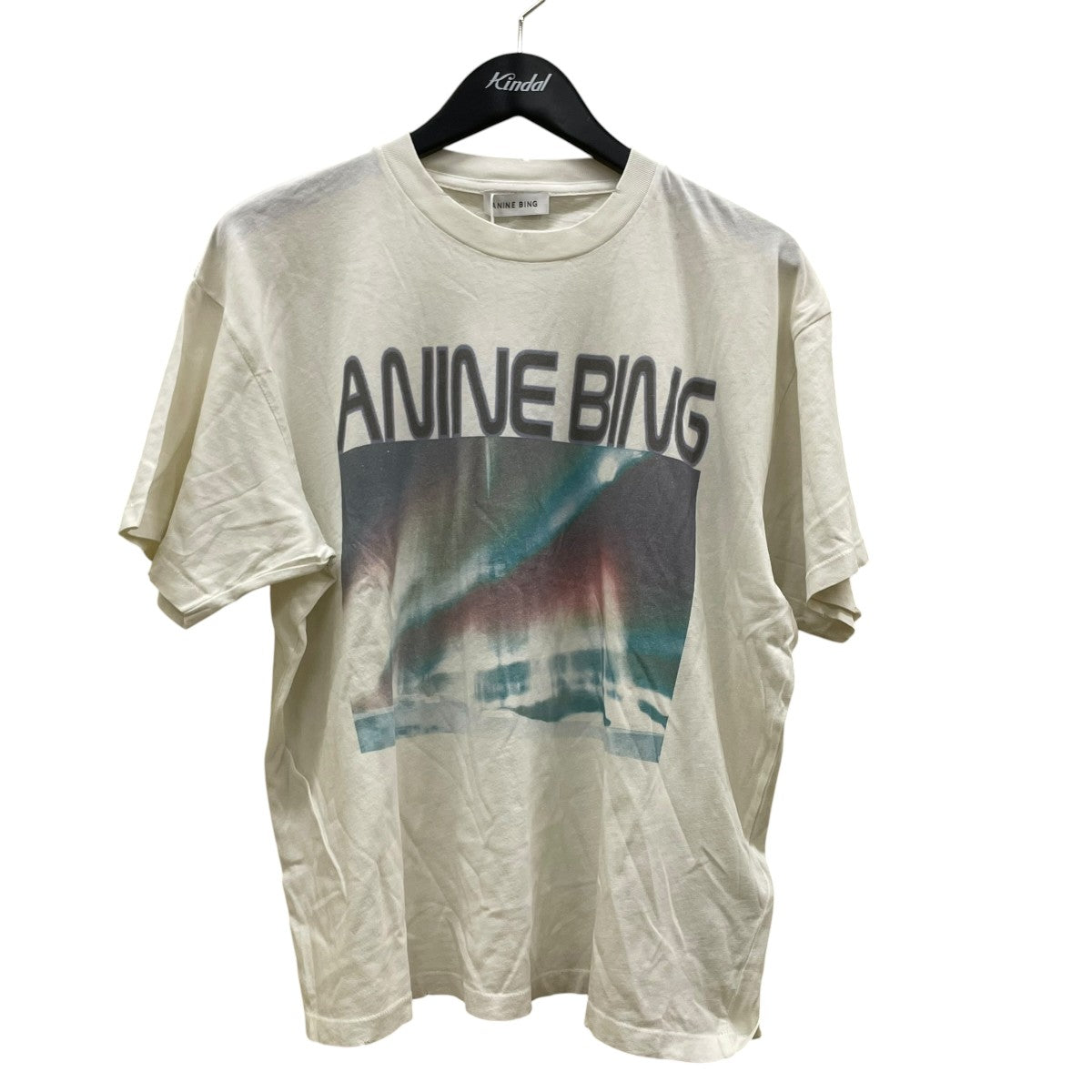 ANINE BING 半袖TシャツA-08-11757 古着・中古-1枚目のアイテム画像