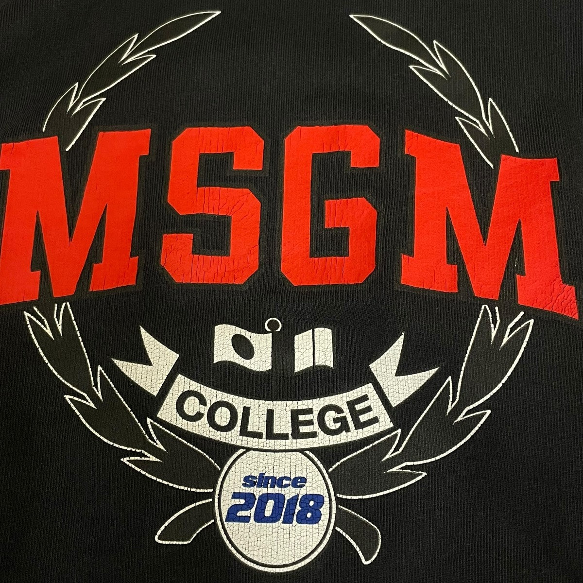 MSGM クルーネックスウェット2541MDM310 古着・中古-5枚目のアイテム画像