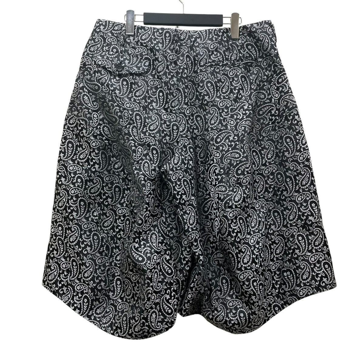 COMME des GARCONS HOMME PLUS(コムデギャルソンオムプリュス) AD2024